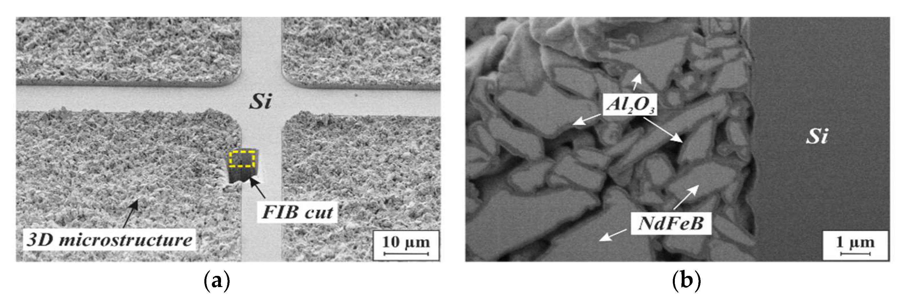 Micromachines 13 00398 g008 550