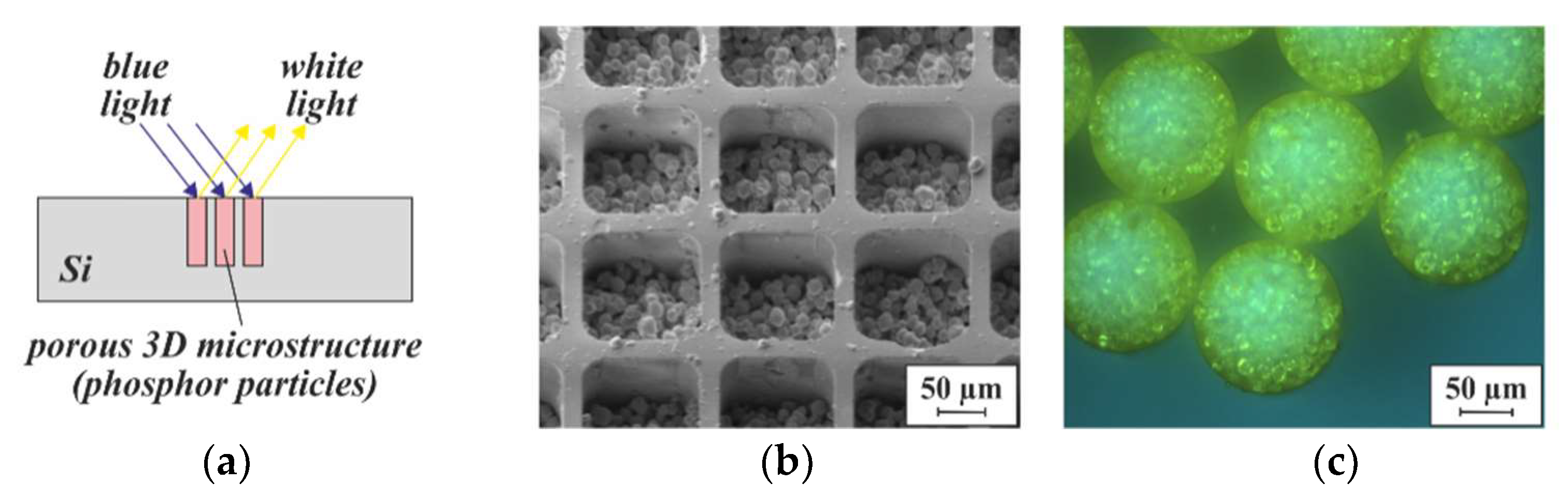 Micromachines 13 00398 g015 550