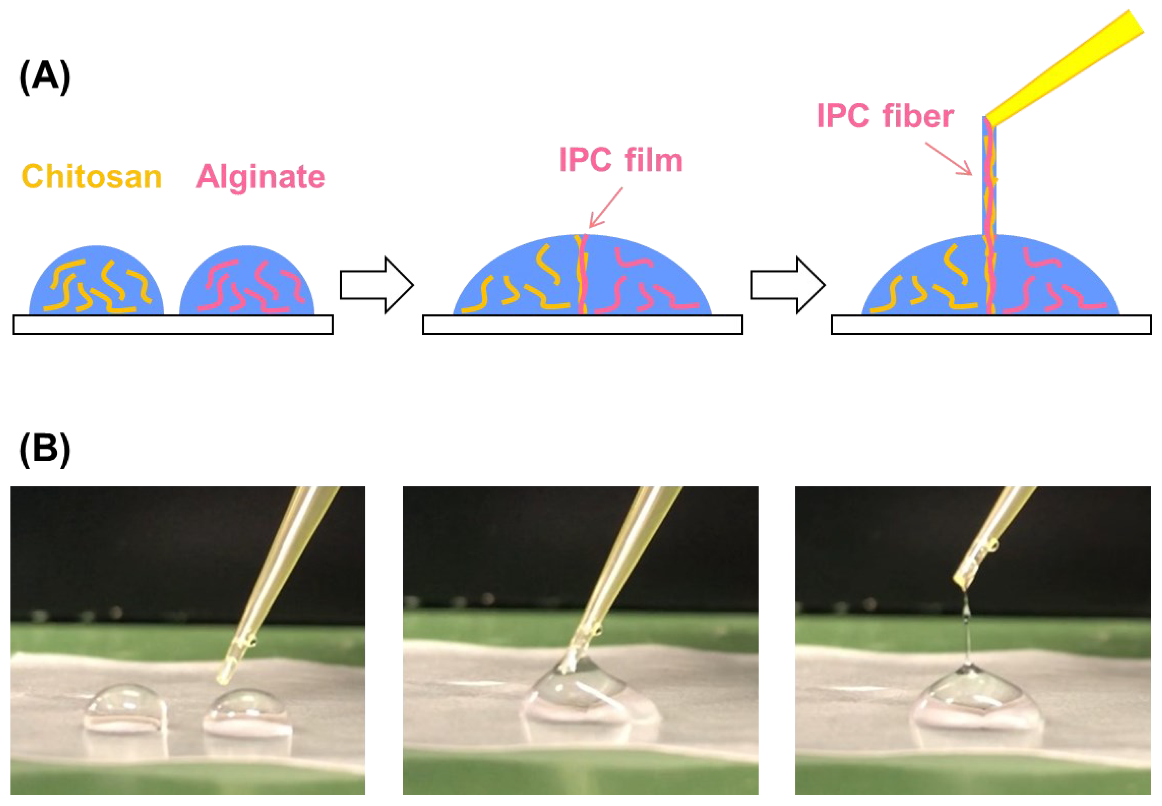 Micromachines 13 00420 g001 550