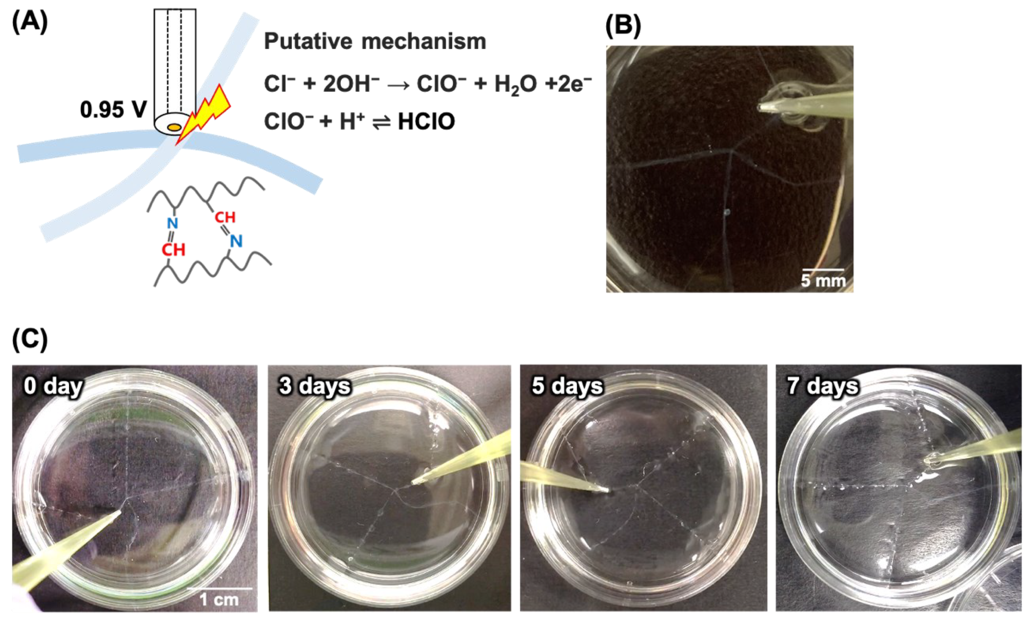 Micromachines 13 00420 g002 550