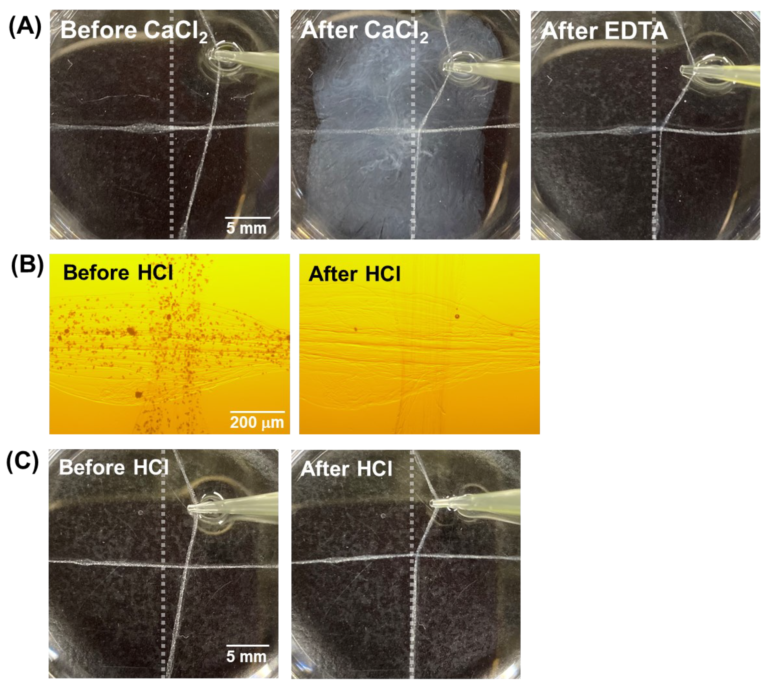 Micromachines 13 00420 g003 550