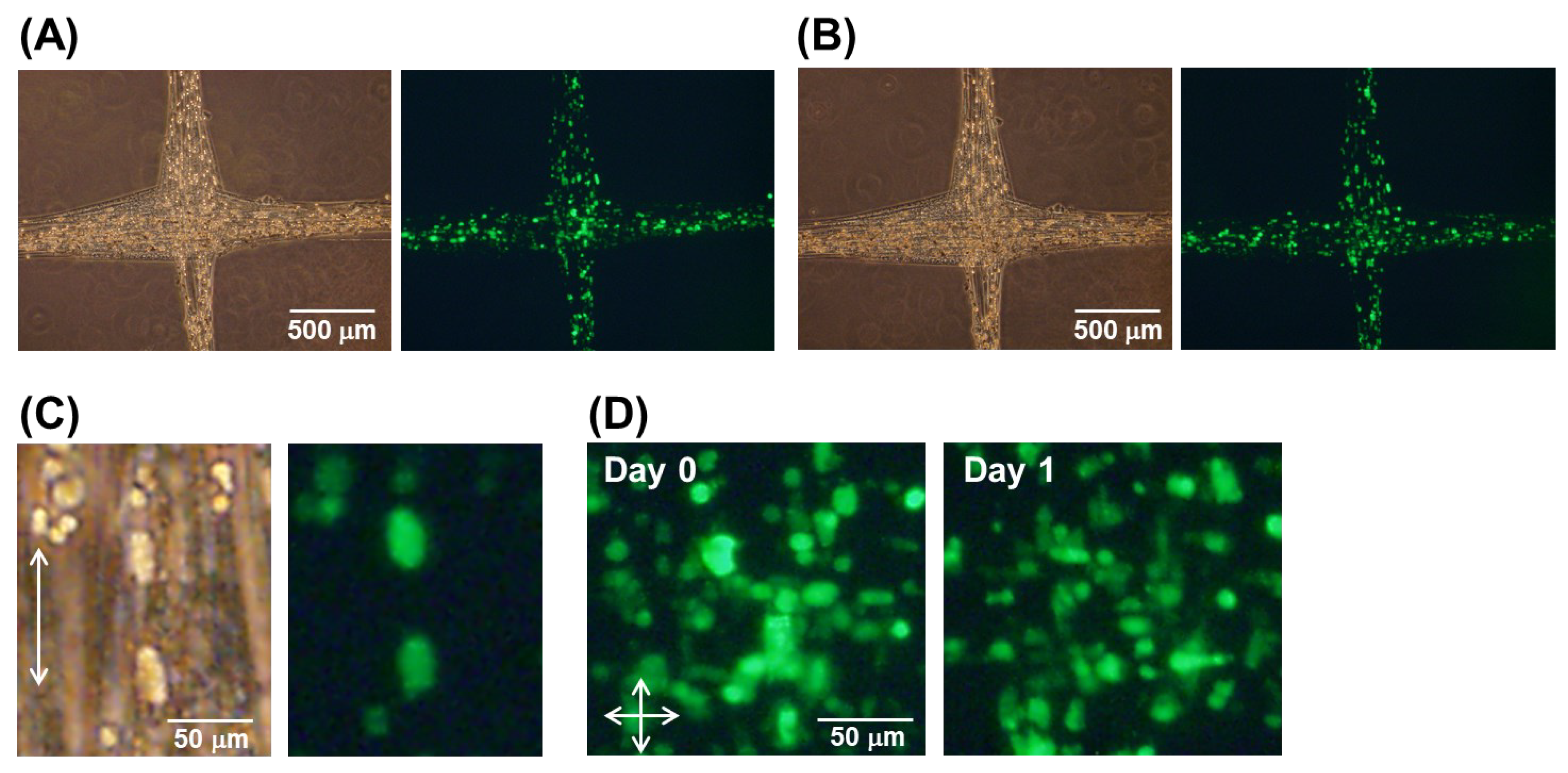 Micromachines 13 00420 g006 550