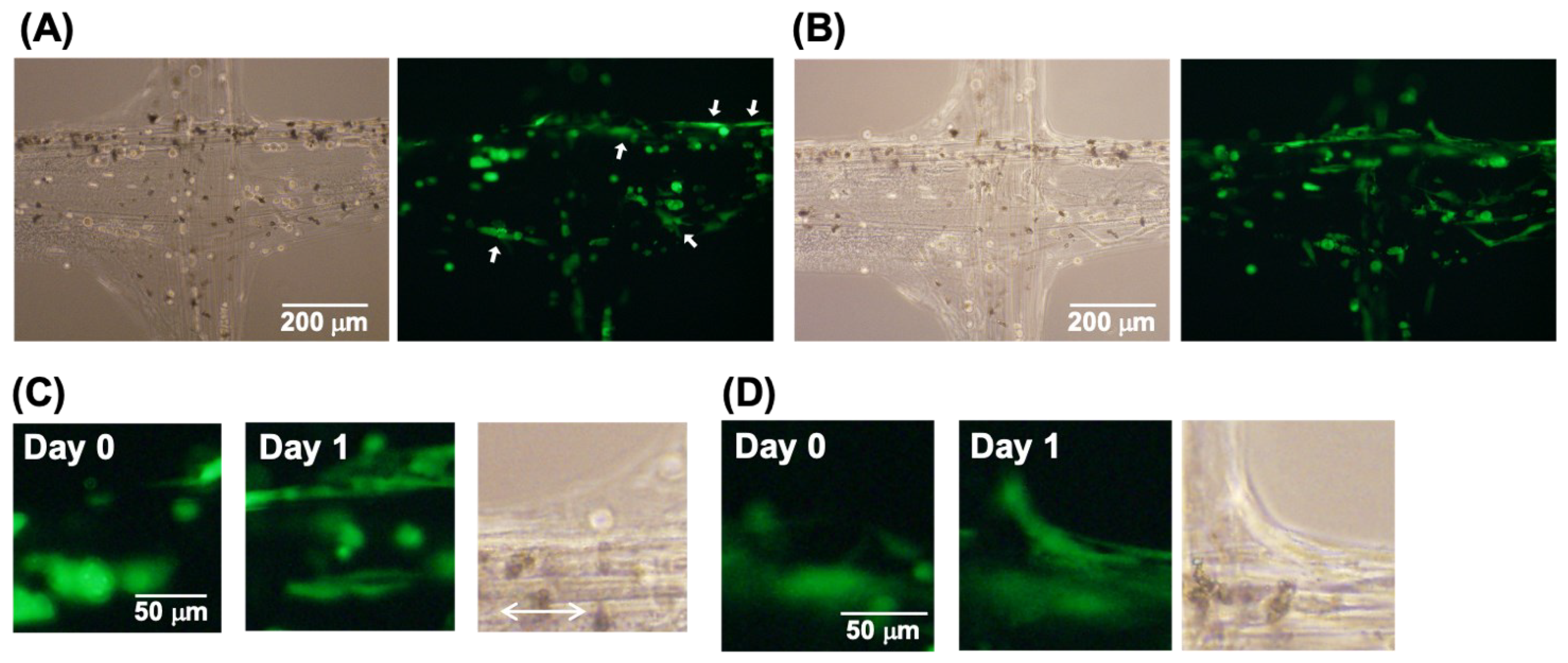 Micromachines 13 00420 g007 550