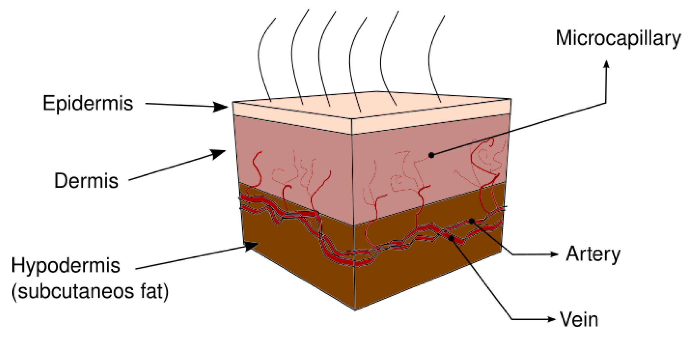 Micromachines 13 00424 g001