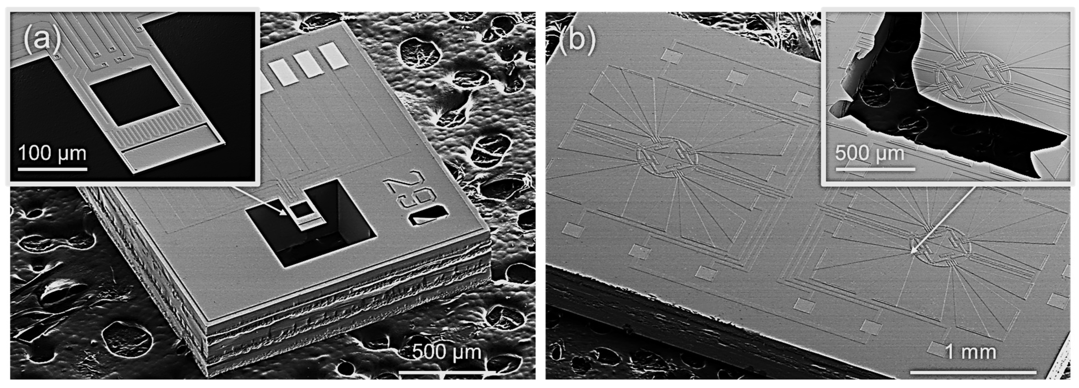 Micromachines 13 00445 g004 550