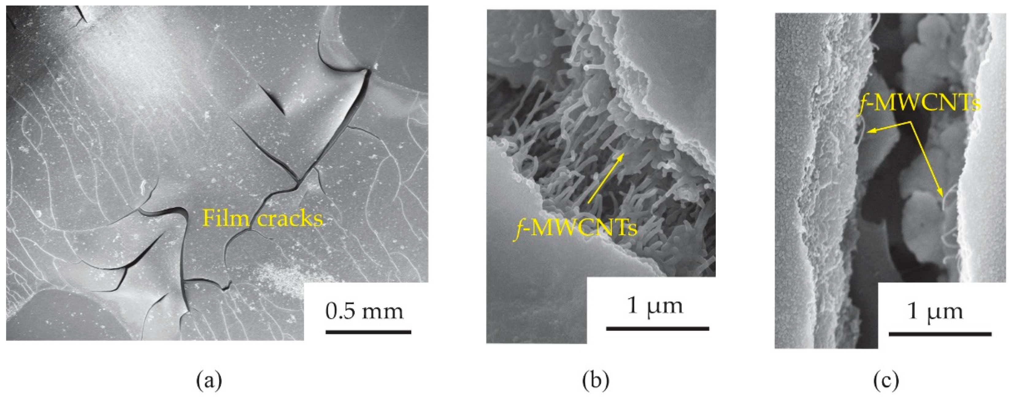 Micromachines 13 00462 g012 550