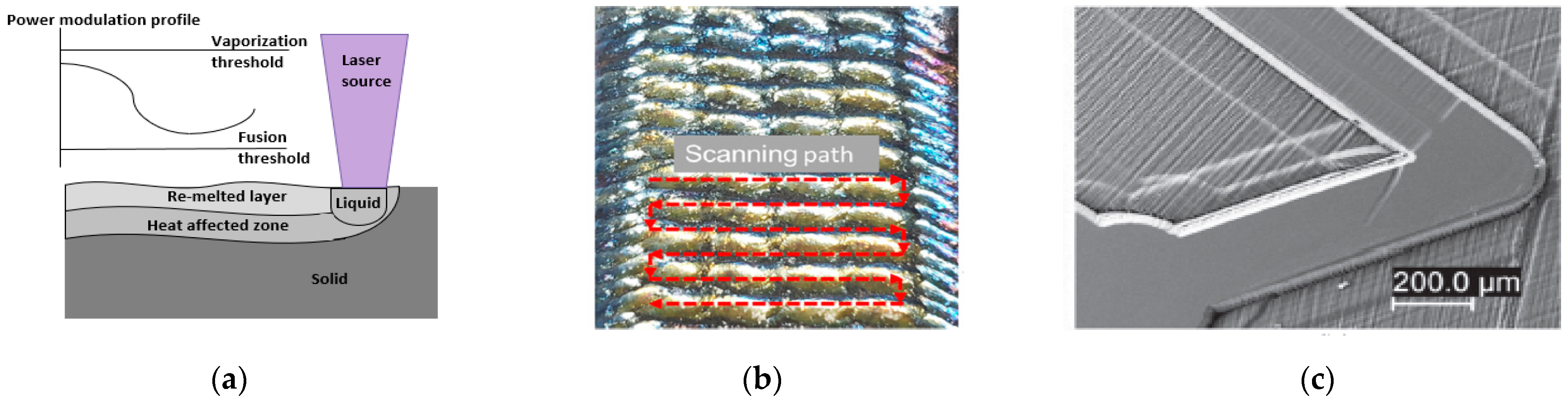 Micromachines 13 00468 g006 550