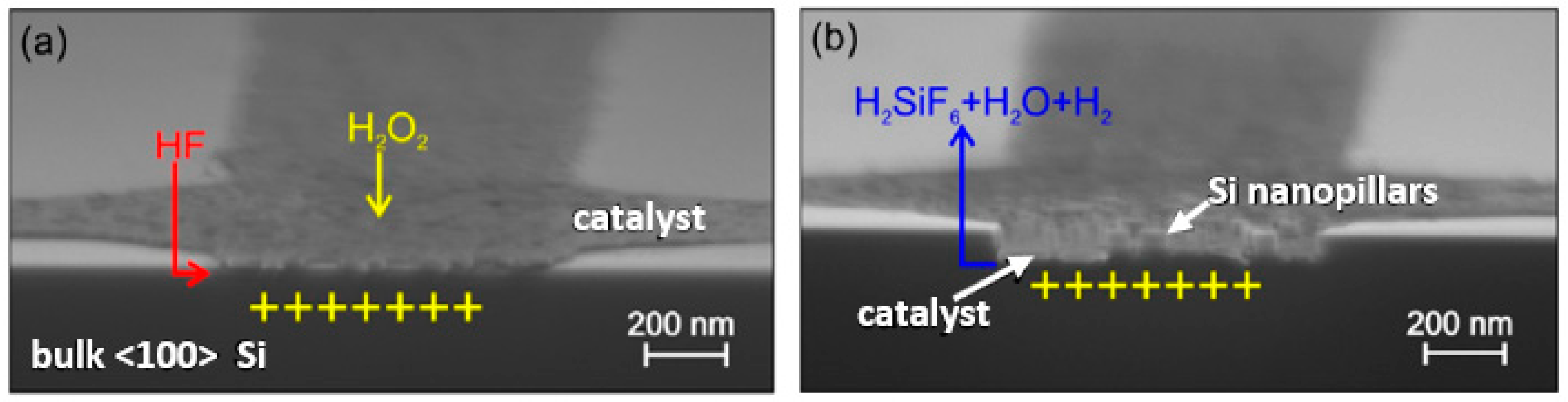 Micromachines 13 00468 g008 550