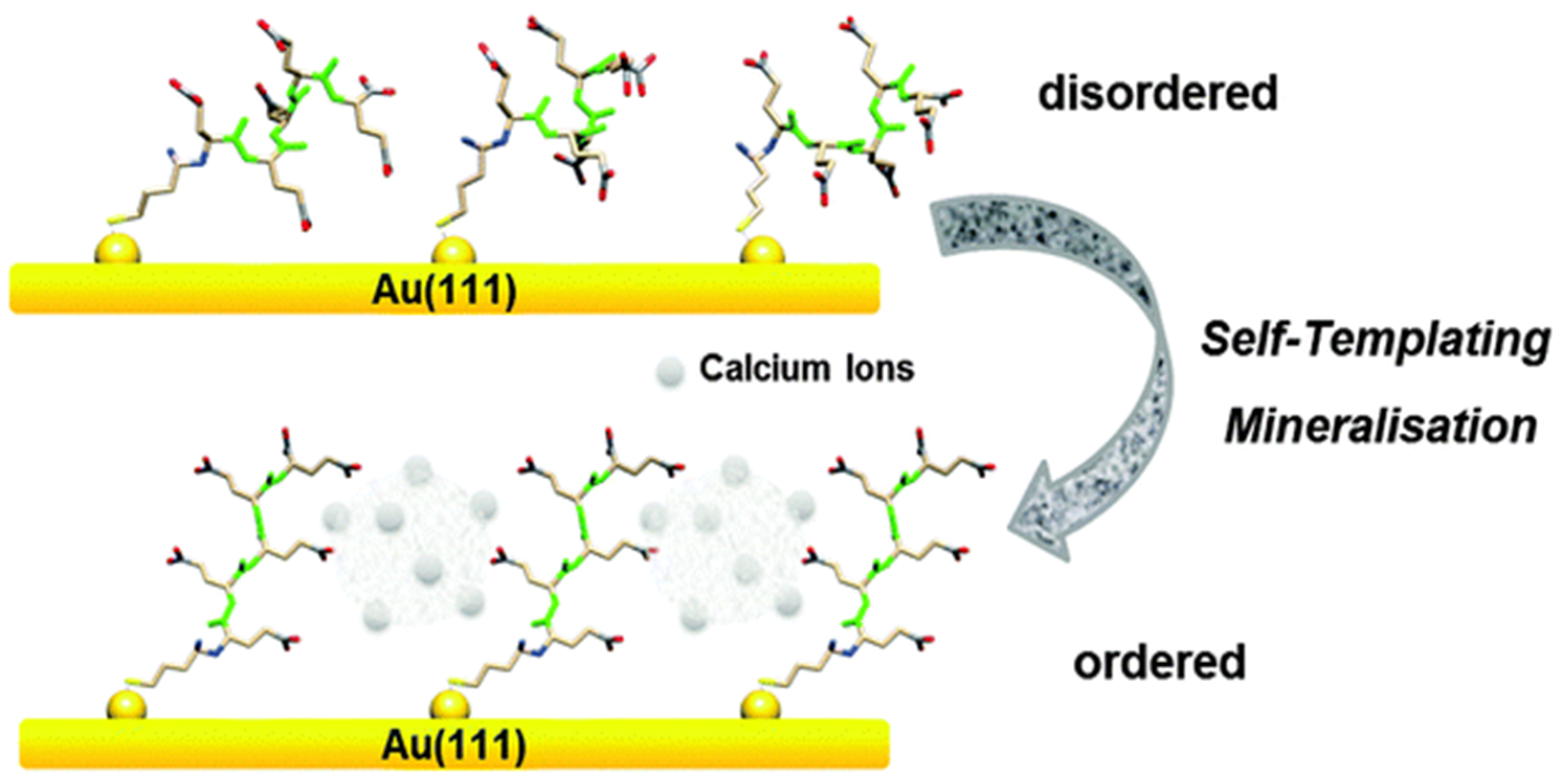 Micromachines 13 00473 g001 550
