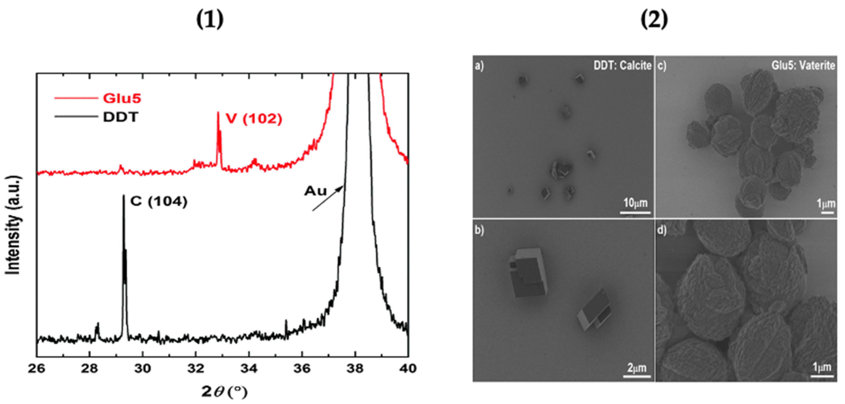 Micromachines 13 00473 g002 550