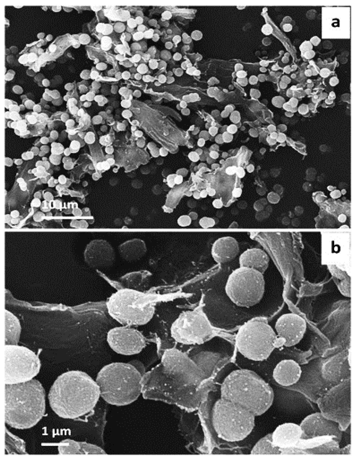 Micromachines 13 00473 g007 550