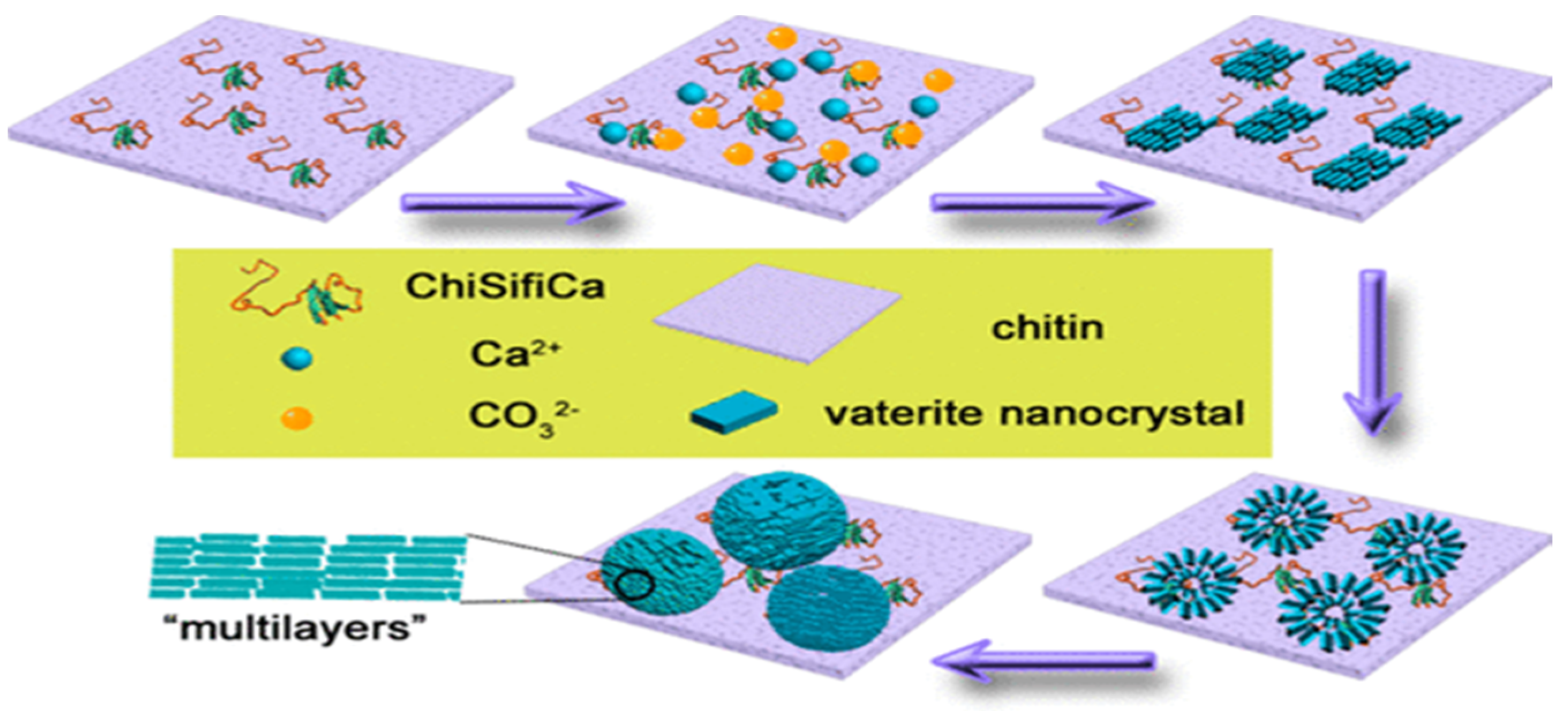 Micromachines 13 00473 g011 550