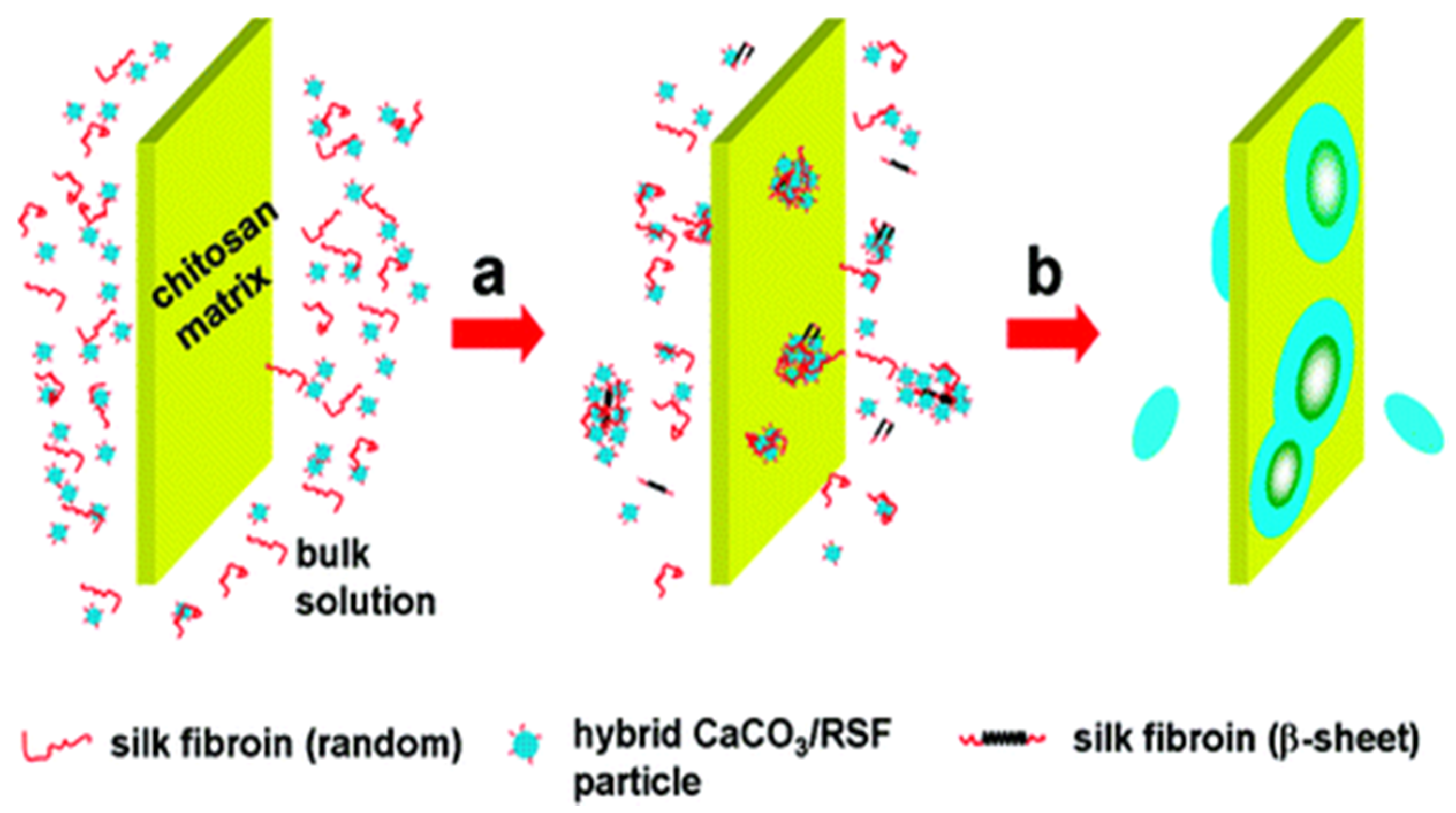Micromachines 13 00473 g016 550