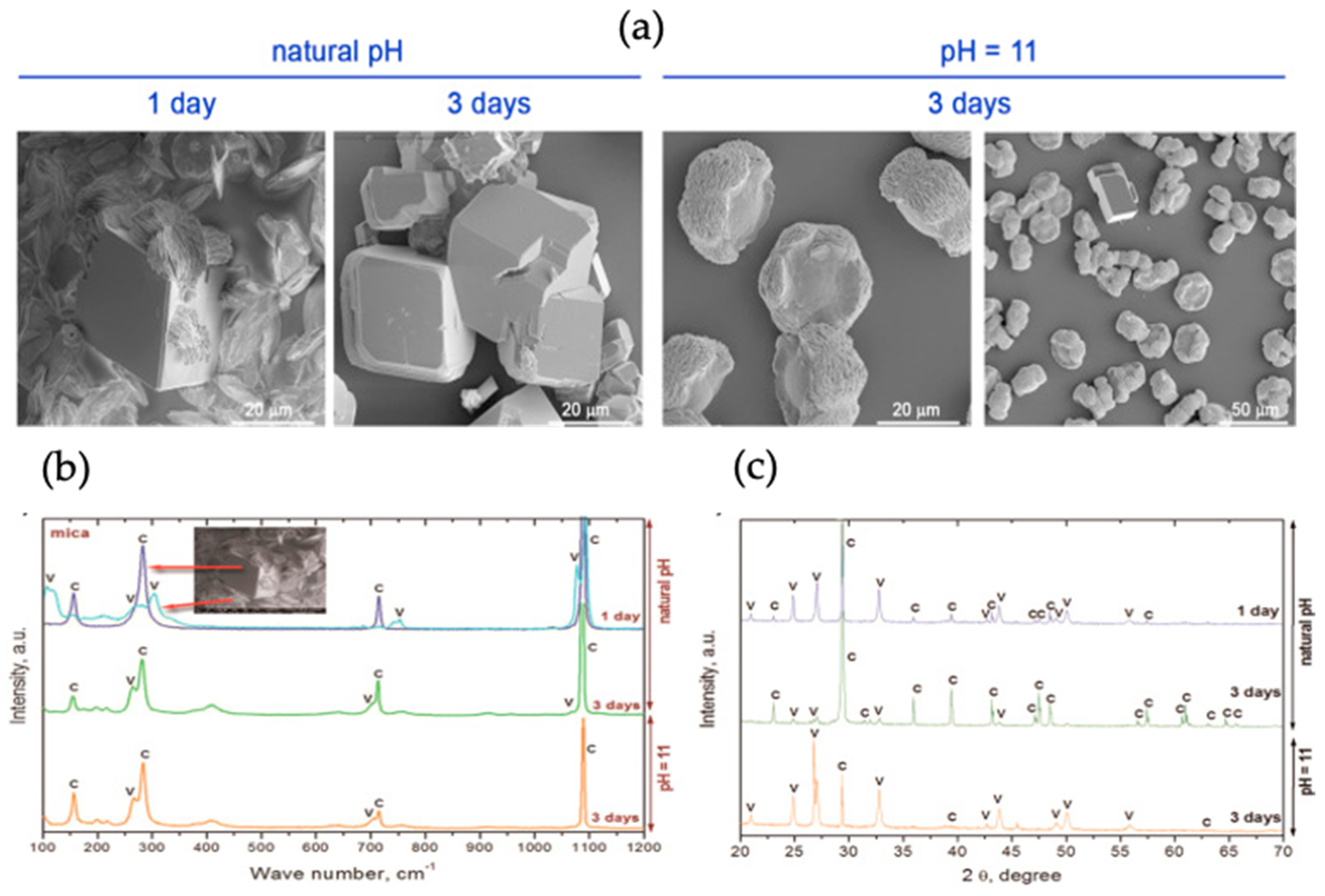 Micromachines 13 00473 g020 550