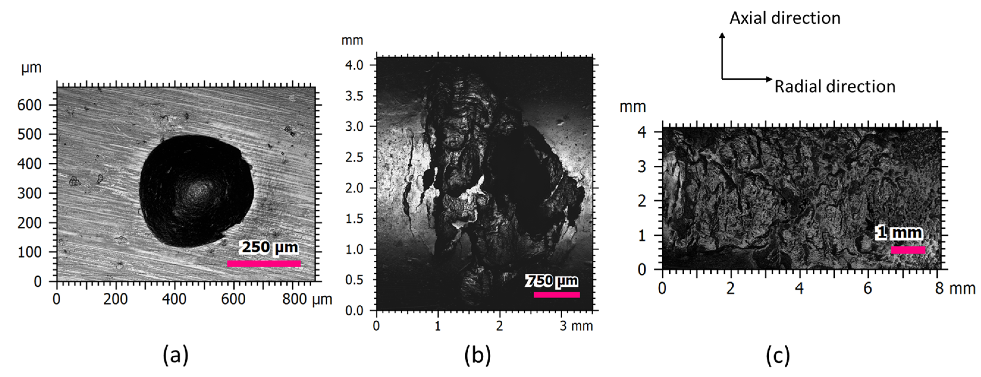 Micromachines 13 00483 g006 550
