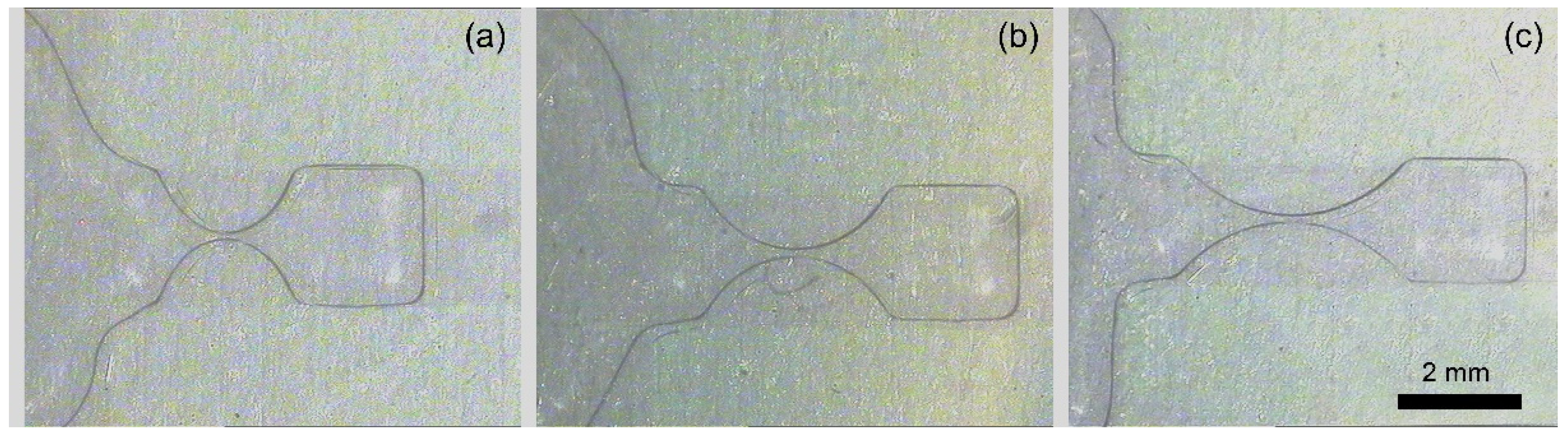 Micromachines 13 00484 g006