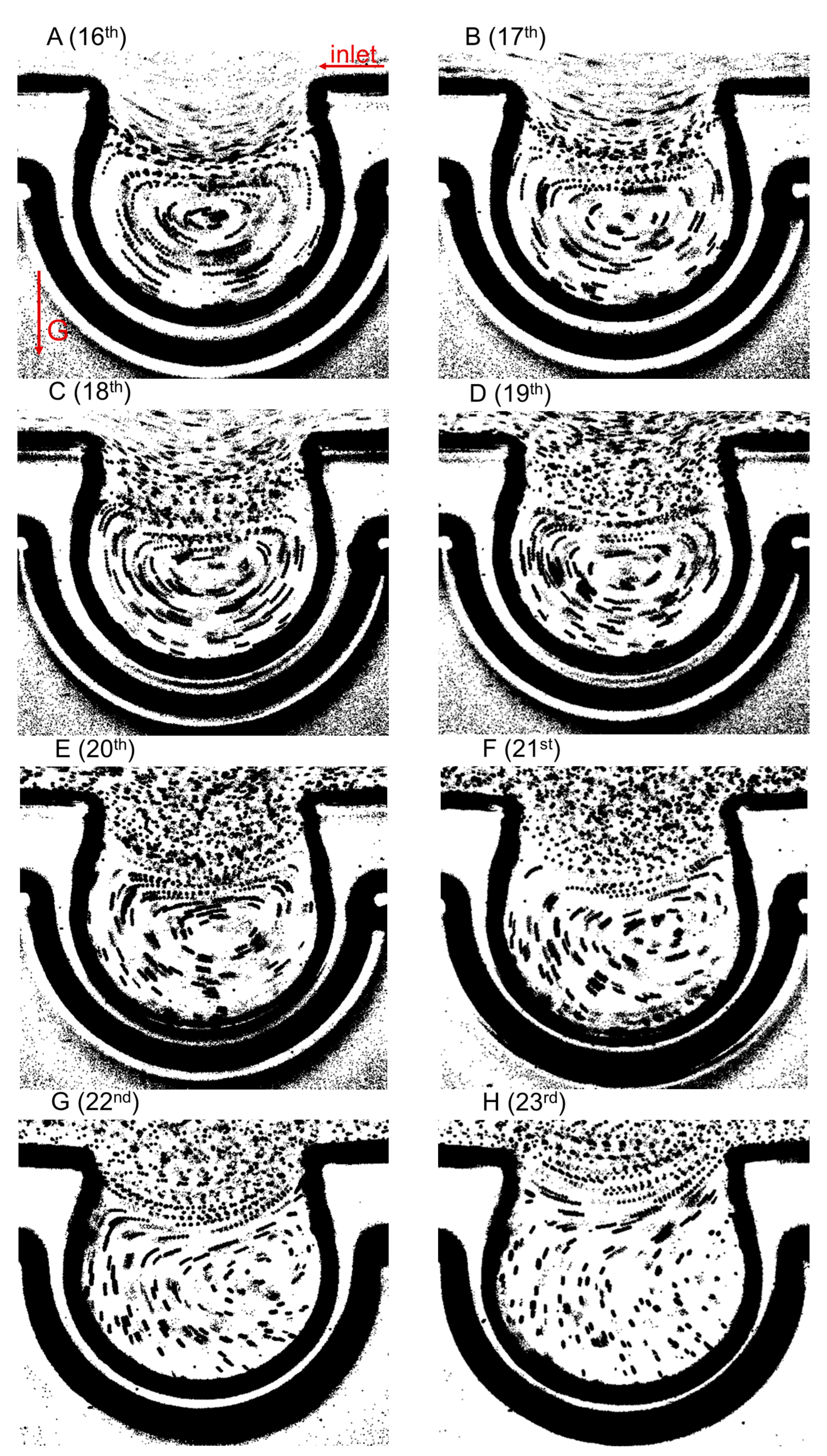 Micromachines 13 00485 g004 Micromachines 13 00485 g004
