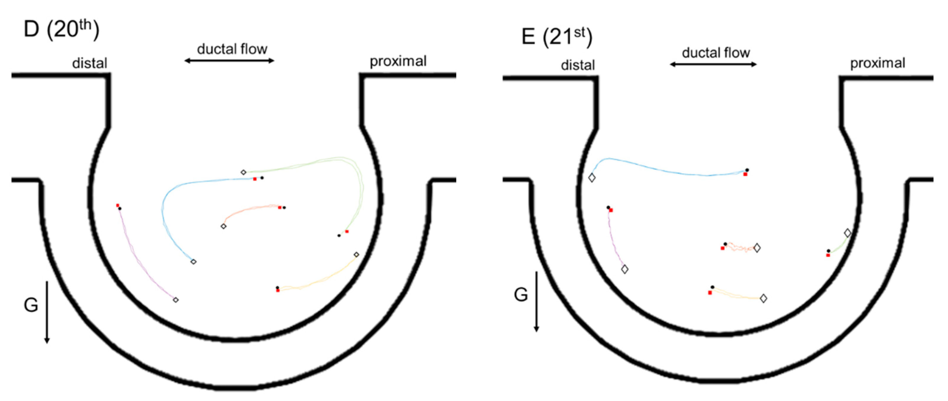 Micromachines 13 00485 g005b Micromachines 13 00485 g005b