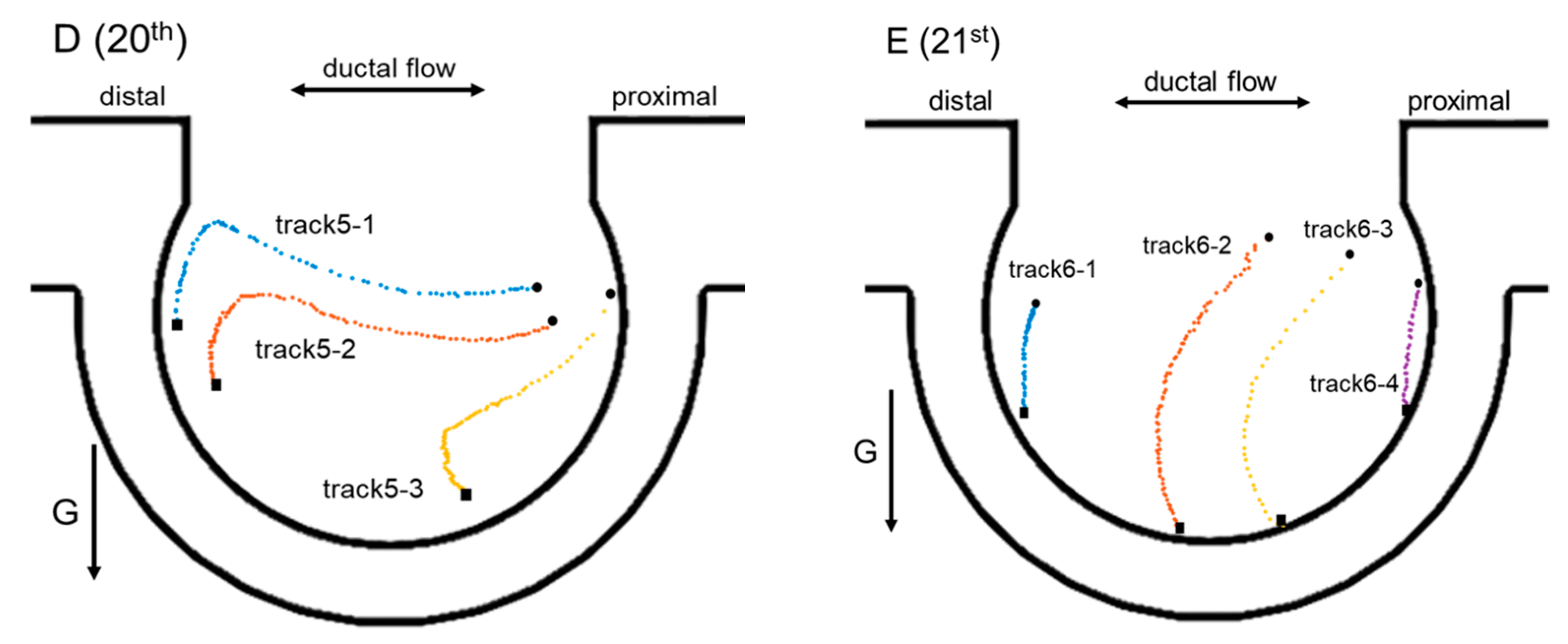 Micromachines 13 00485 g006b Micromachines 13 00485 g006b