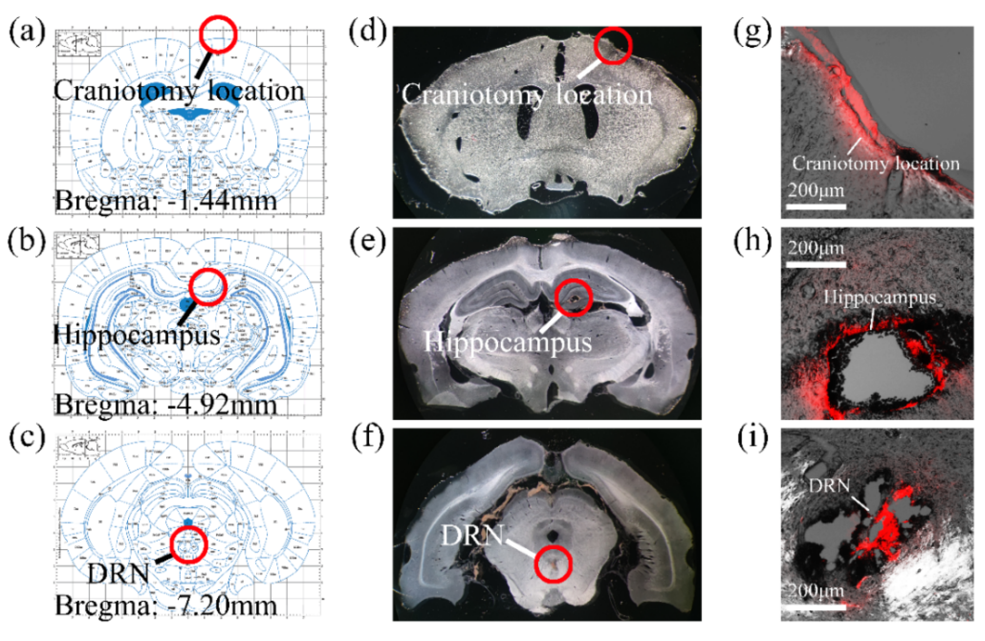 Micromachines 13 00488 g005 550