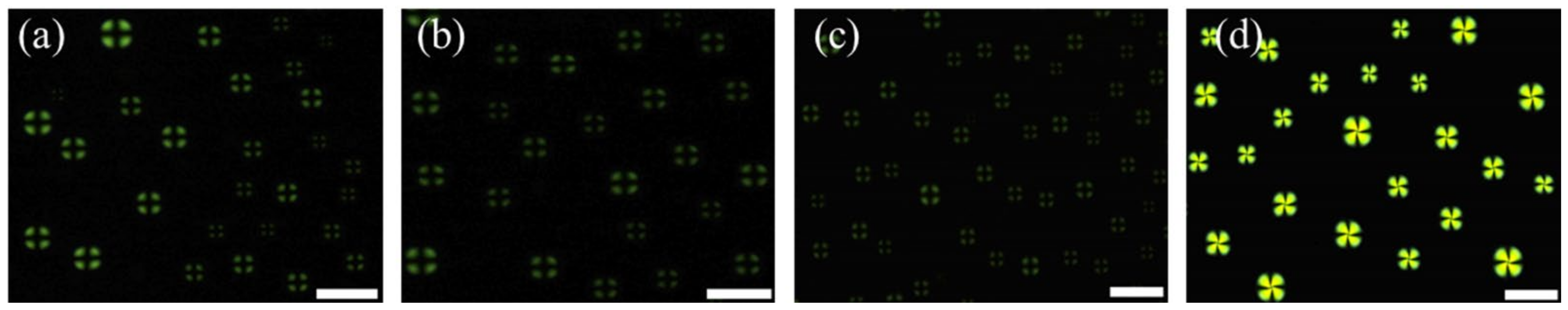 Micromachines 13 00490 g005