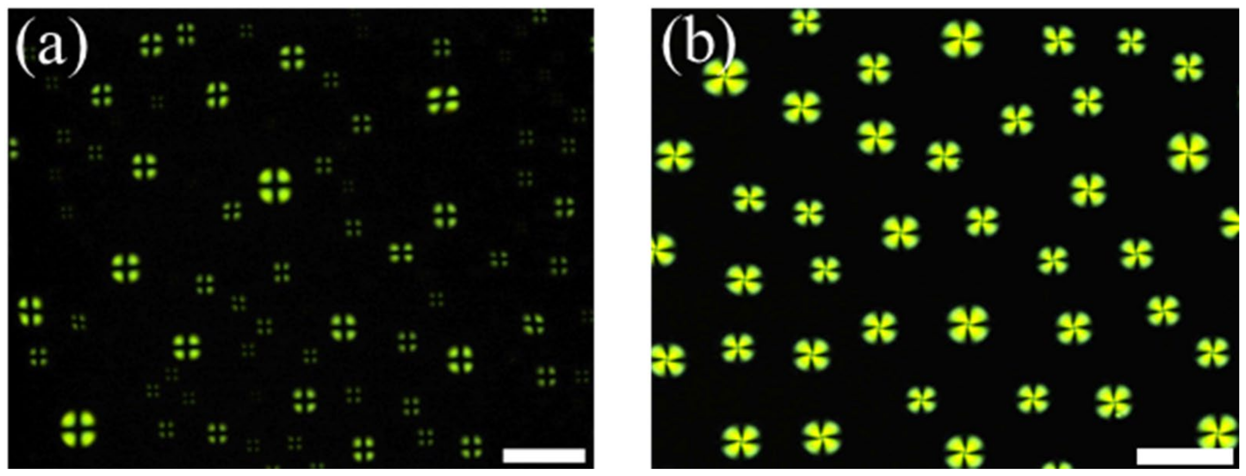 Micromachines 13 00490 g006