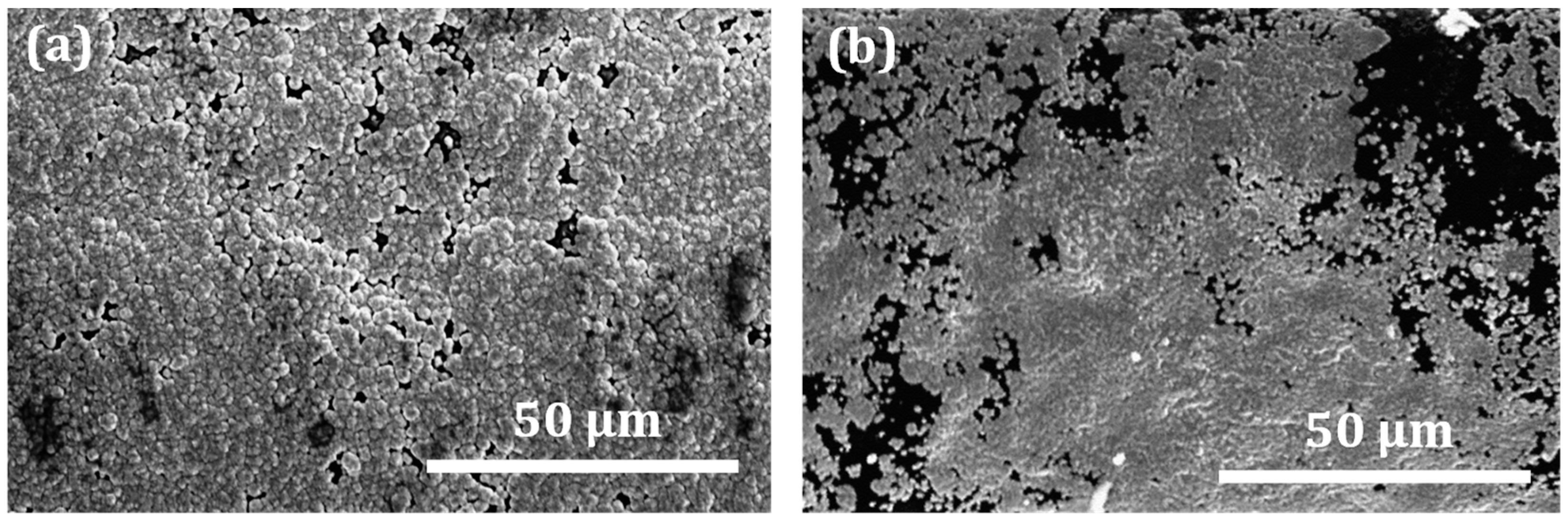 Micromachines 13 00515 g005 550