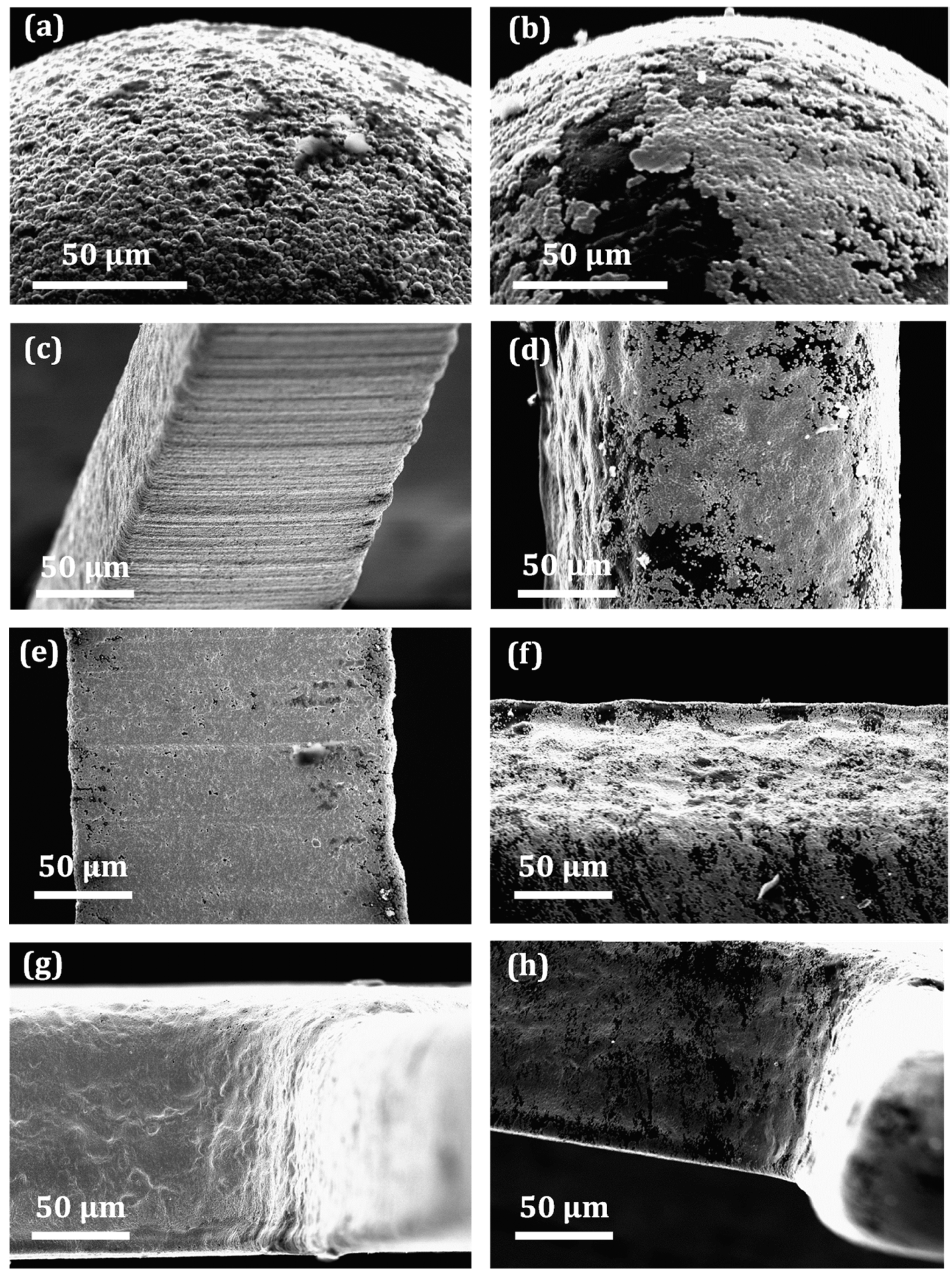 Micromachines 13 00515 g006 550