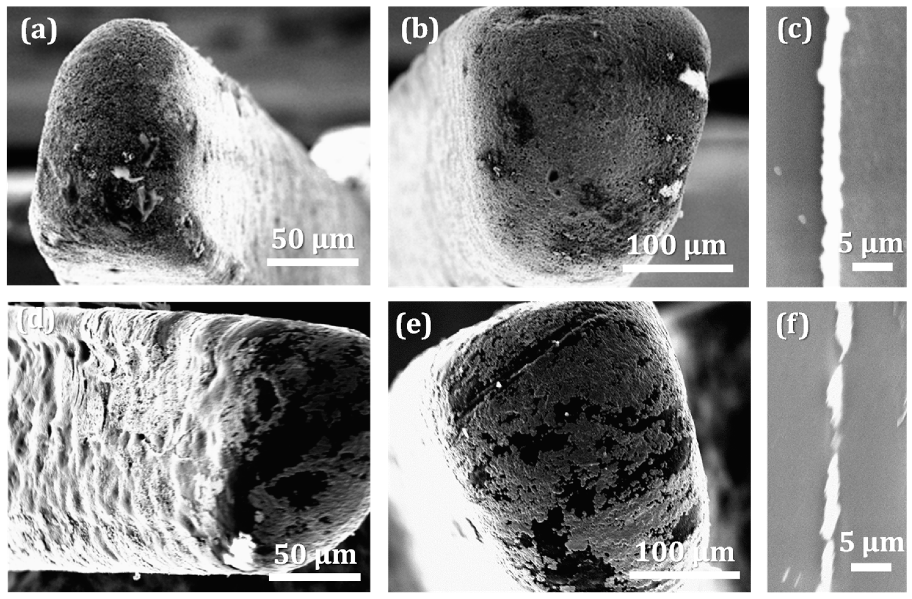Micromachines 13 00515 g007 550