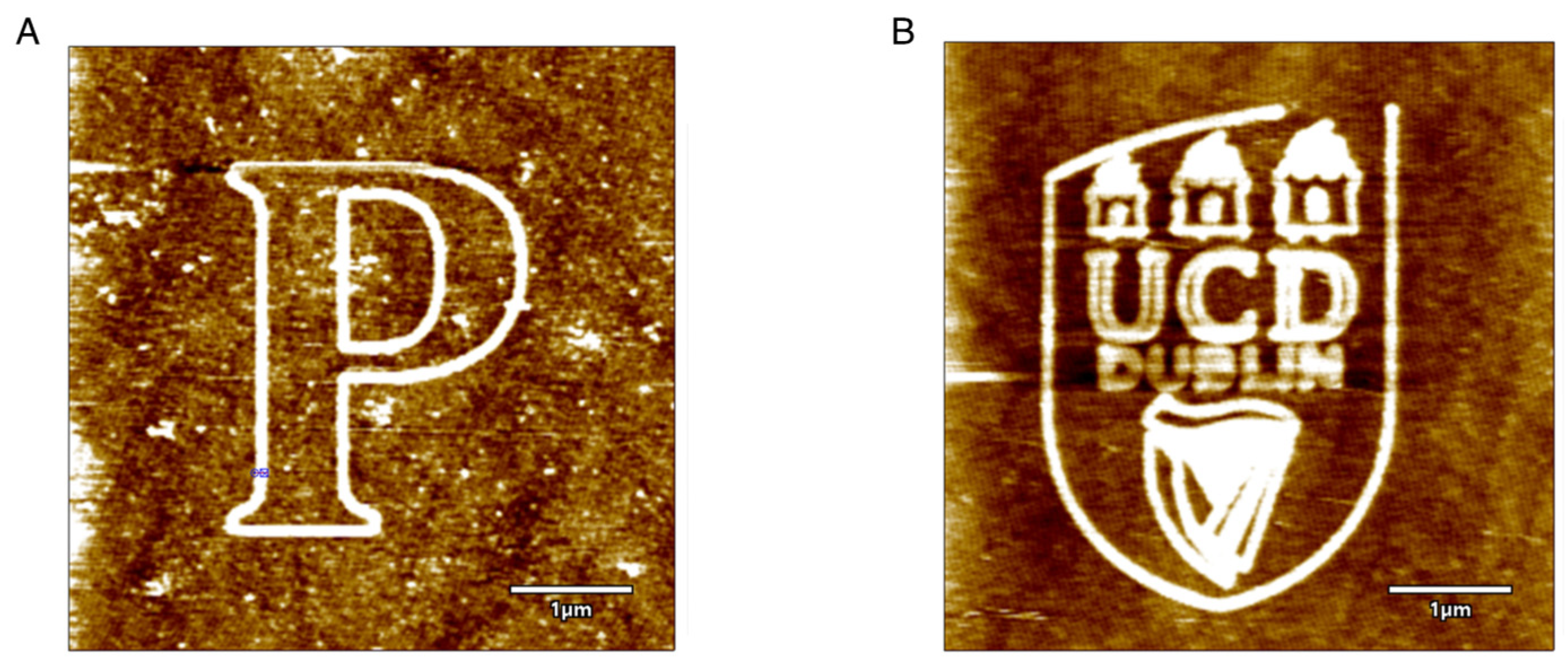 Micromachines 13 00524 g004