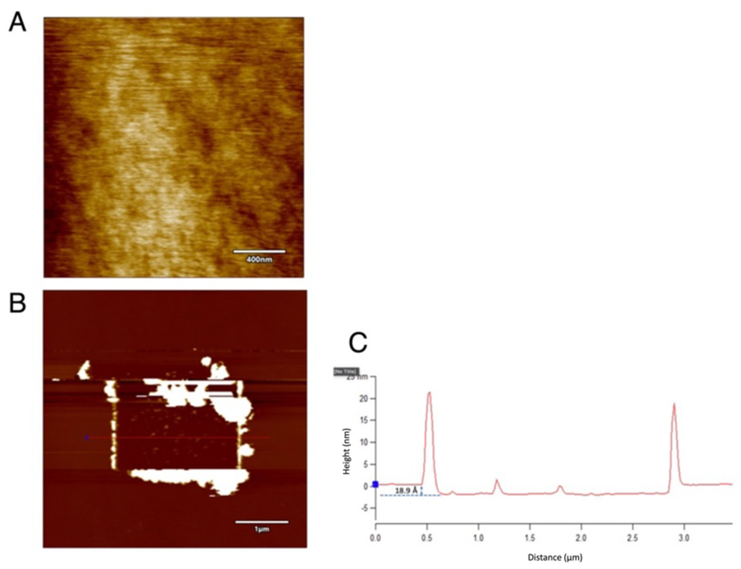 Micromachines 13 00524 g005