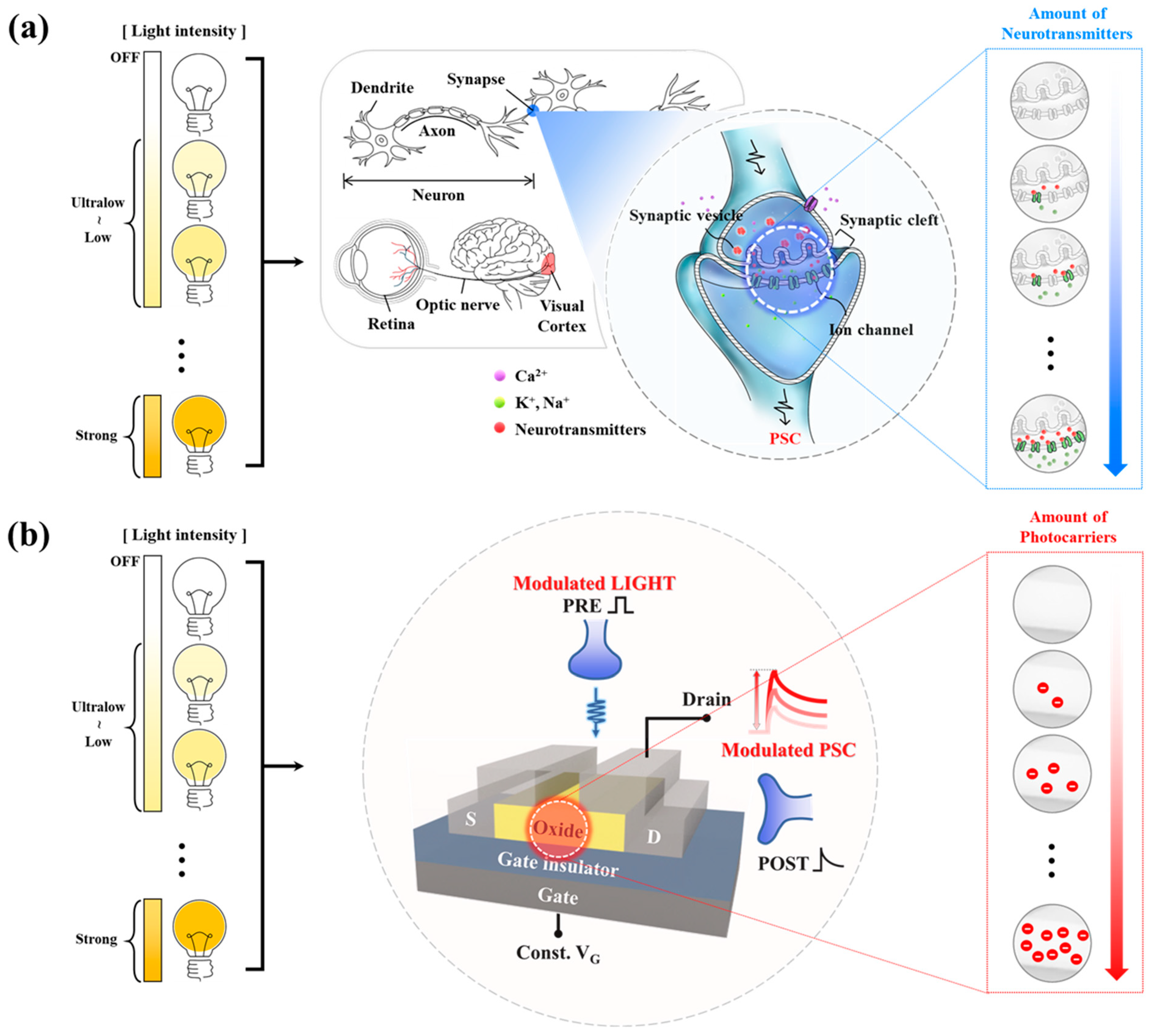 Micromachines 13 00526 sch001