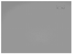 Micromachines 13 00535 i010