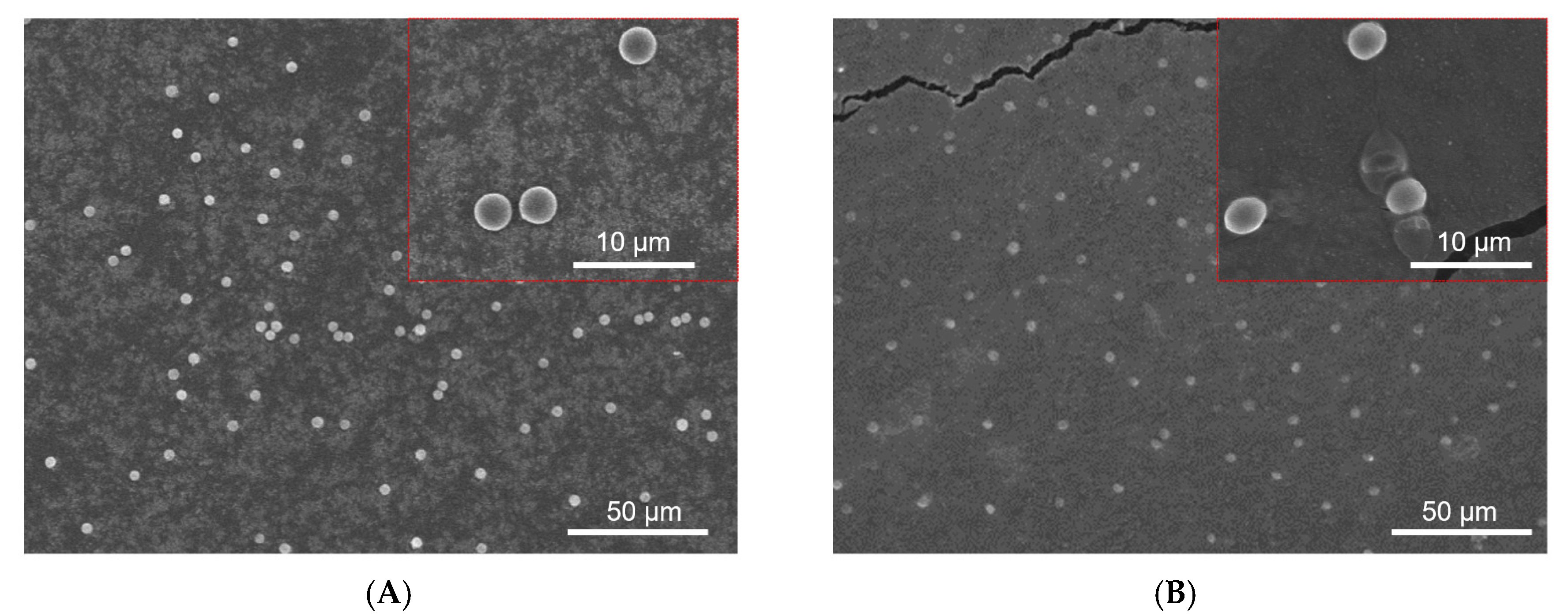 Micromachines 13 00538 g004 550