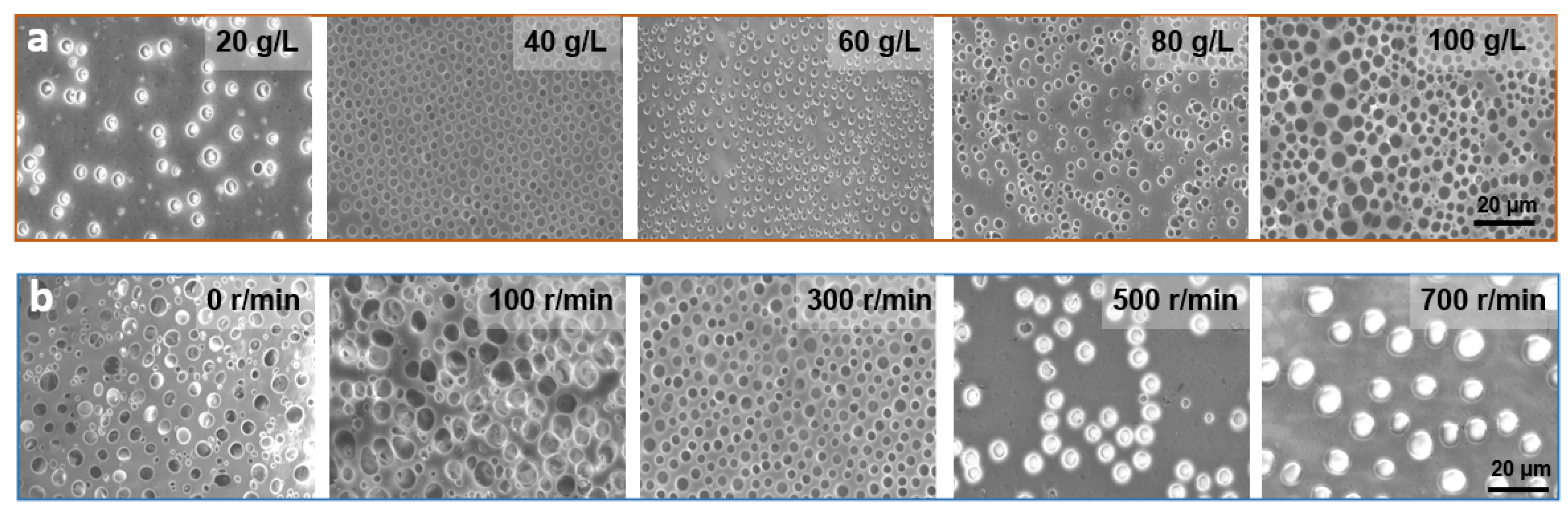 Micromachines 13 00540 g003