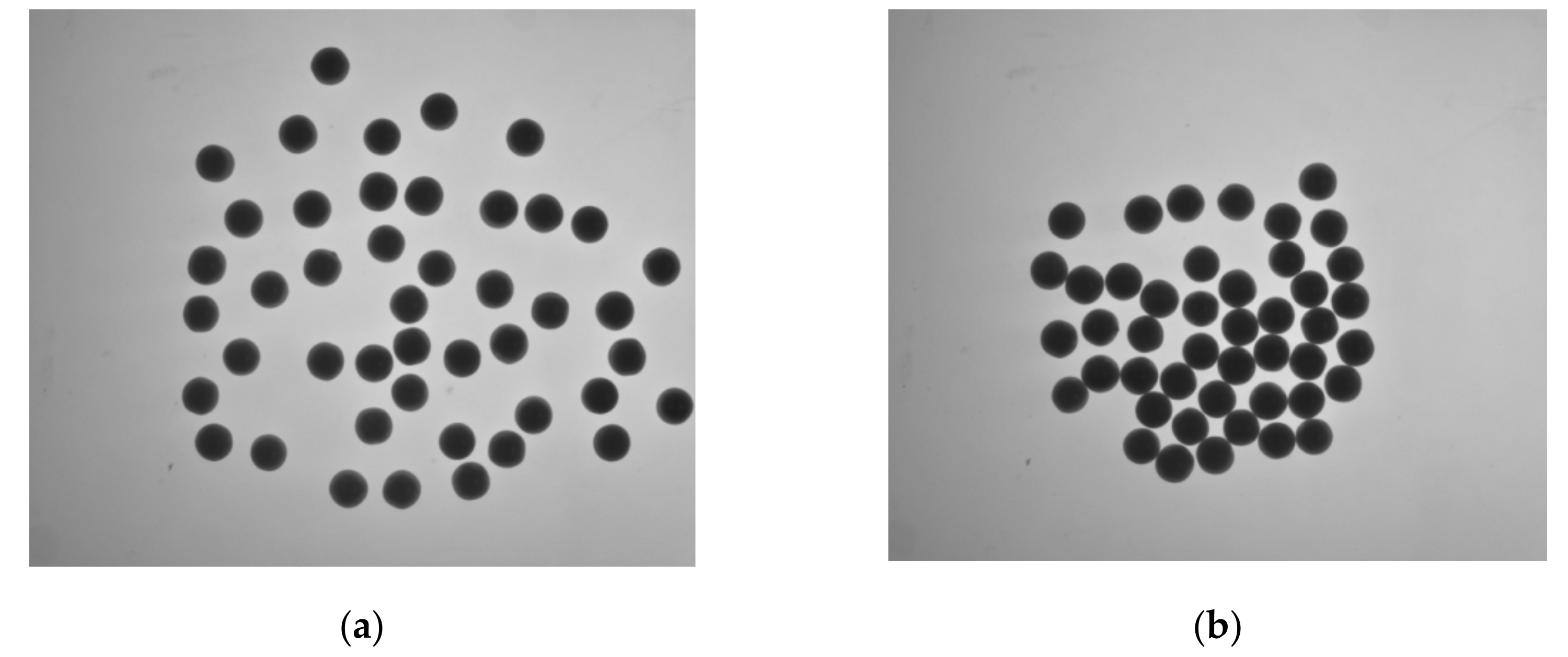 Micromachines 13 00546 g009 550