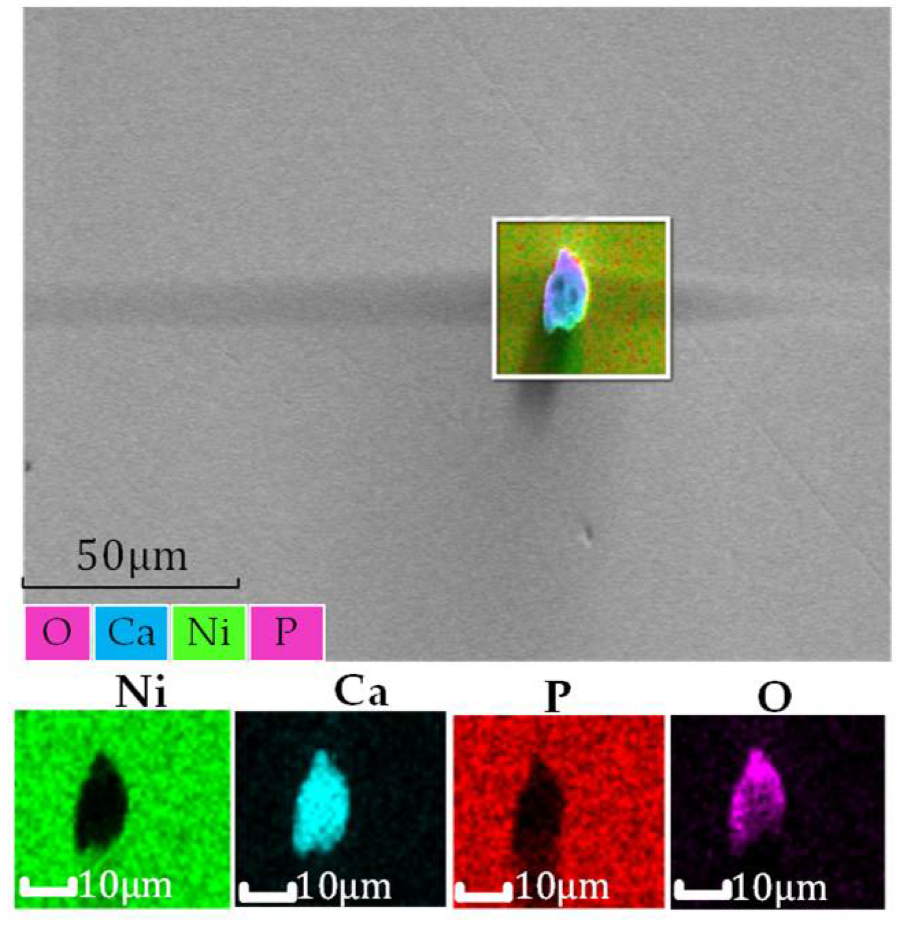 Micromachines 13 00560 g014 550