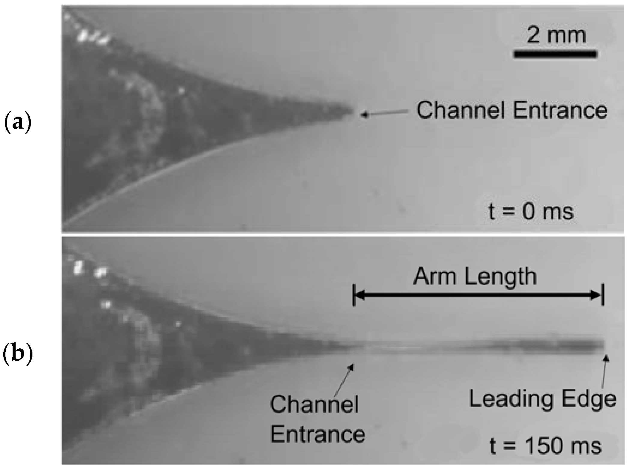 Micromachines 13 00572 g003 550