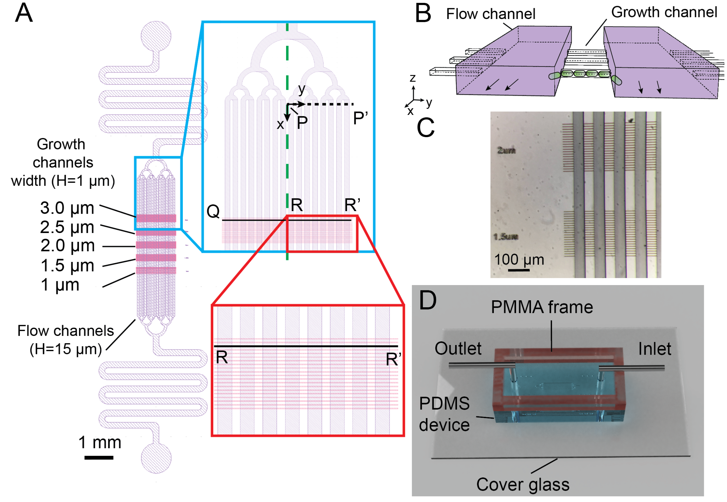 Micromachines 13 00576 g001