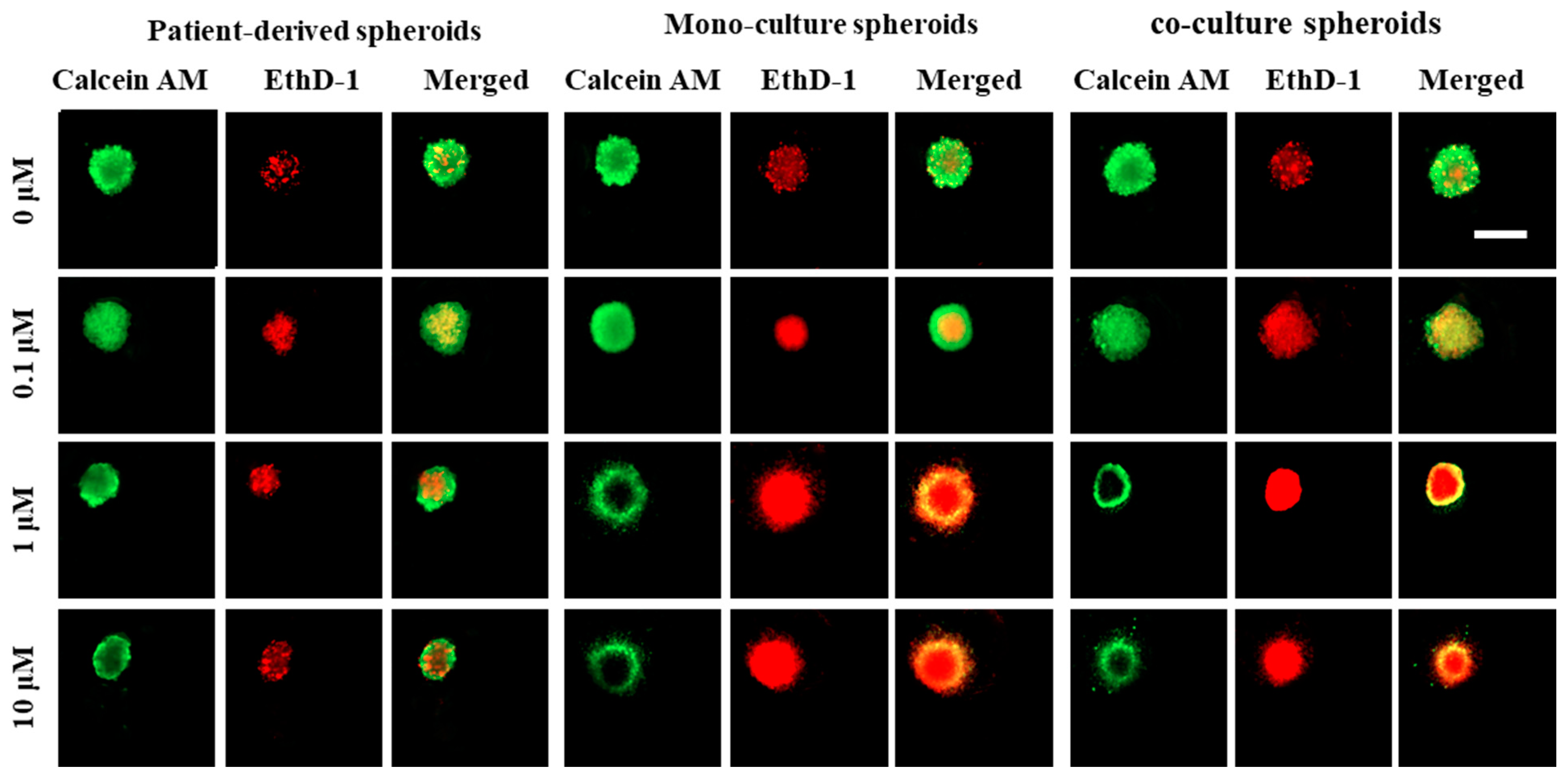 Micromachines 13 00587 g006 550
