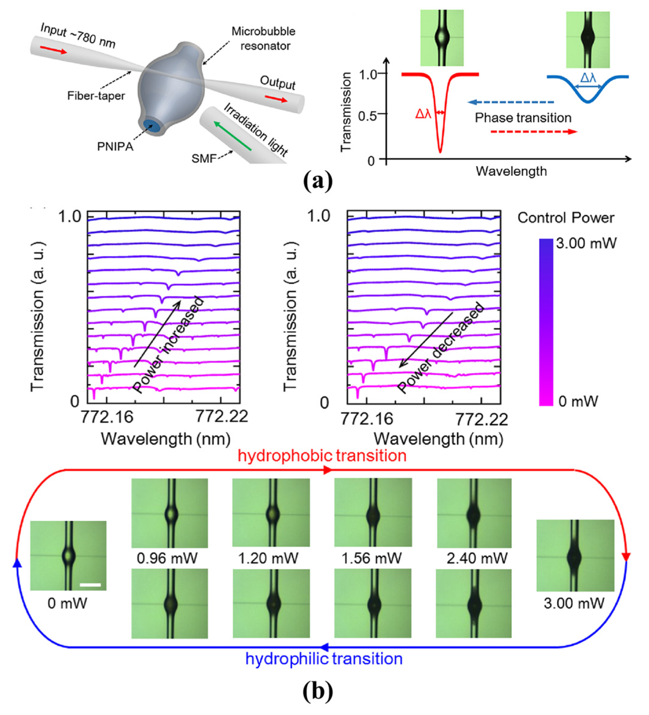 Micromachines 13 00592 g013 550
