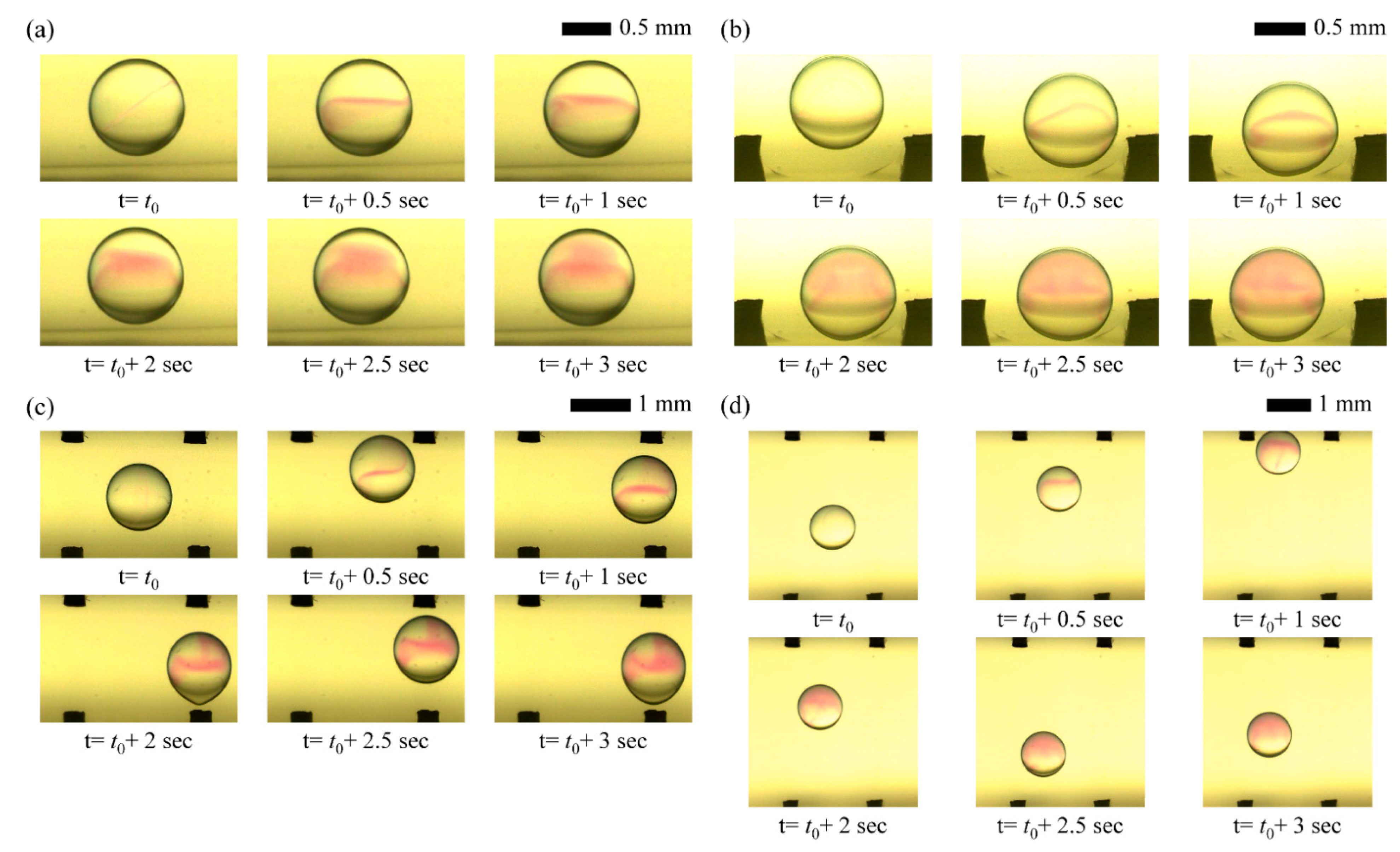 Micromachines 13 00593 g007 550