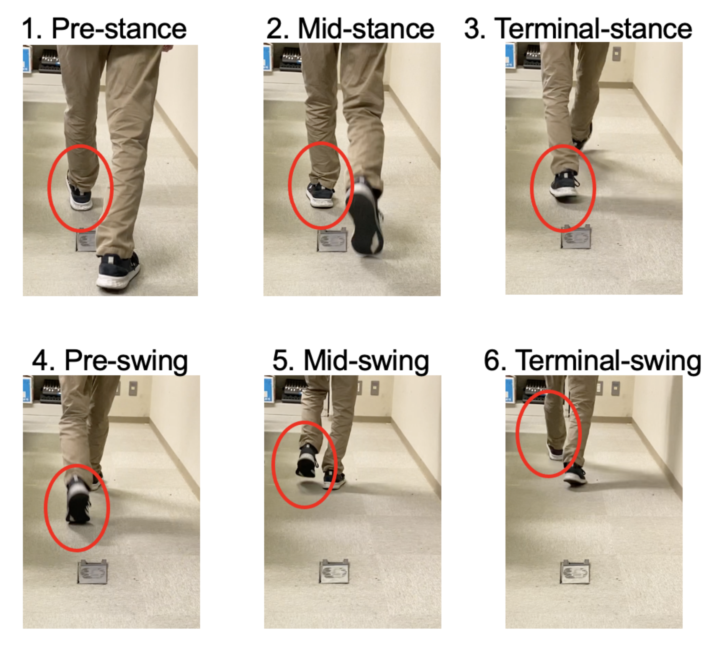 Micromachines 13 00610 g003 550