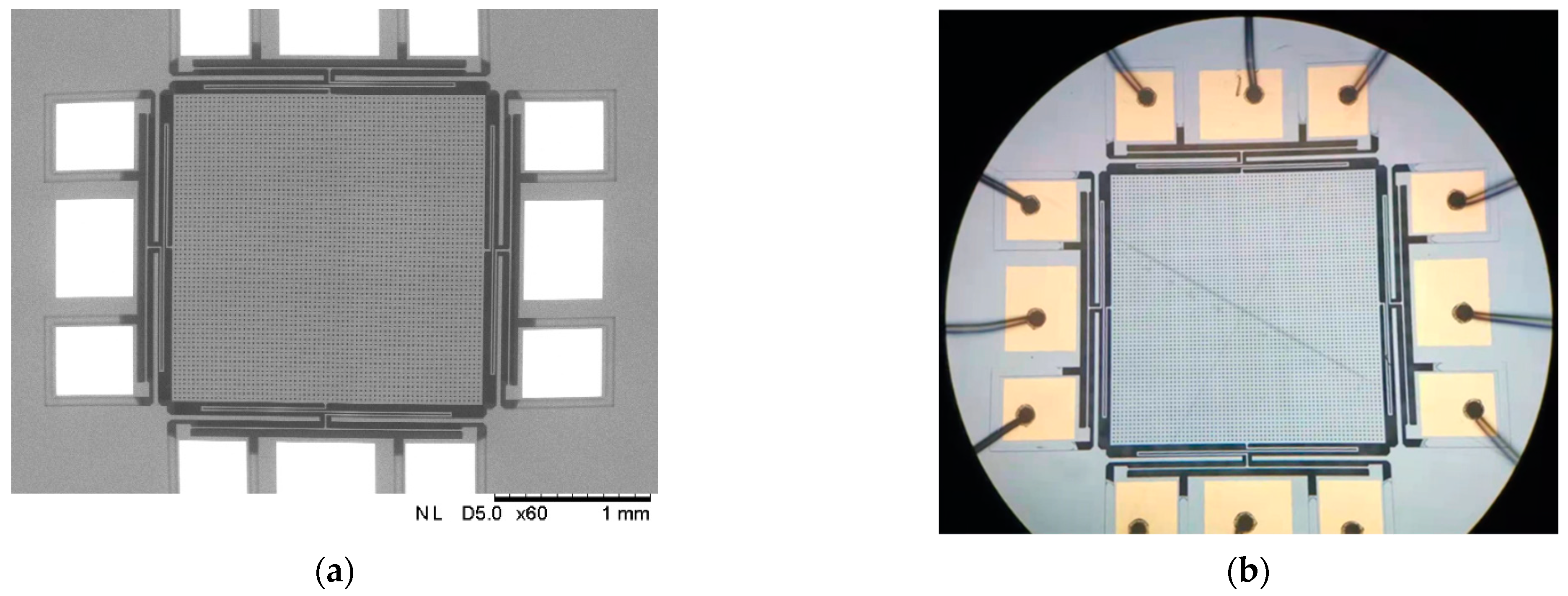 Micromachines 13 00619 g008