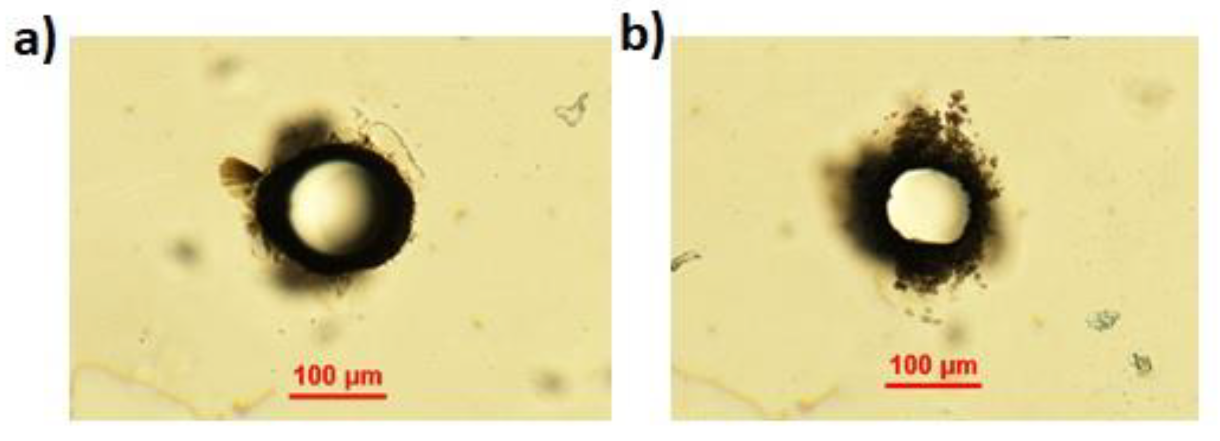 Micromachines 13 00624 g007