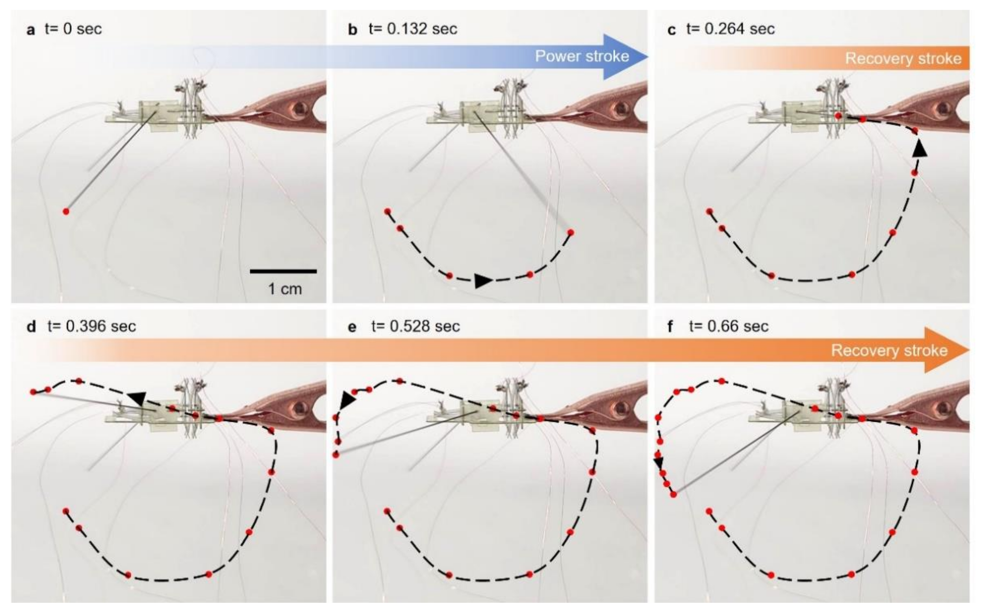 Micromachines 13 00627 g006 550