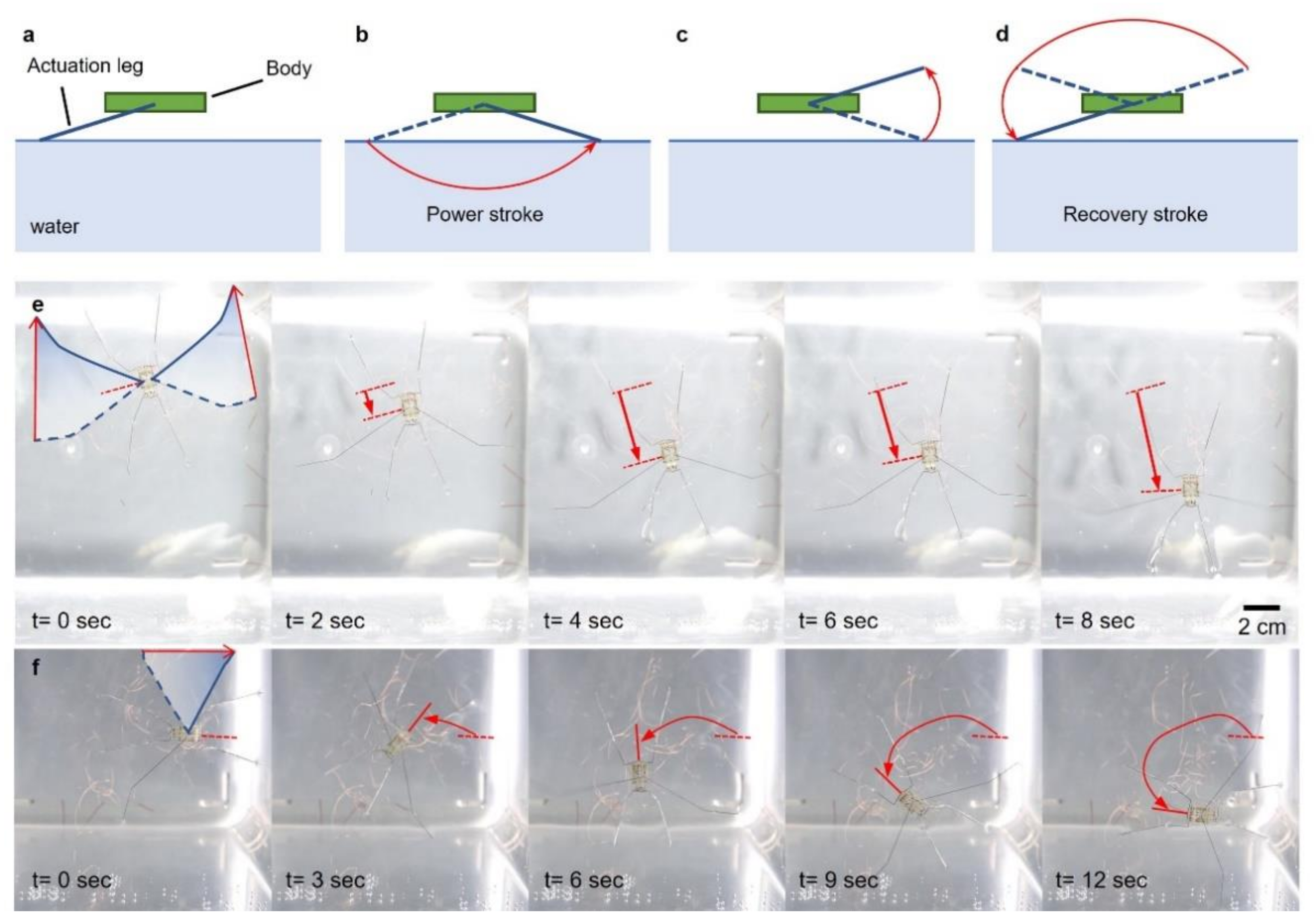 Micromachines 13 00627 g007 550