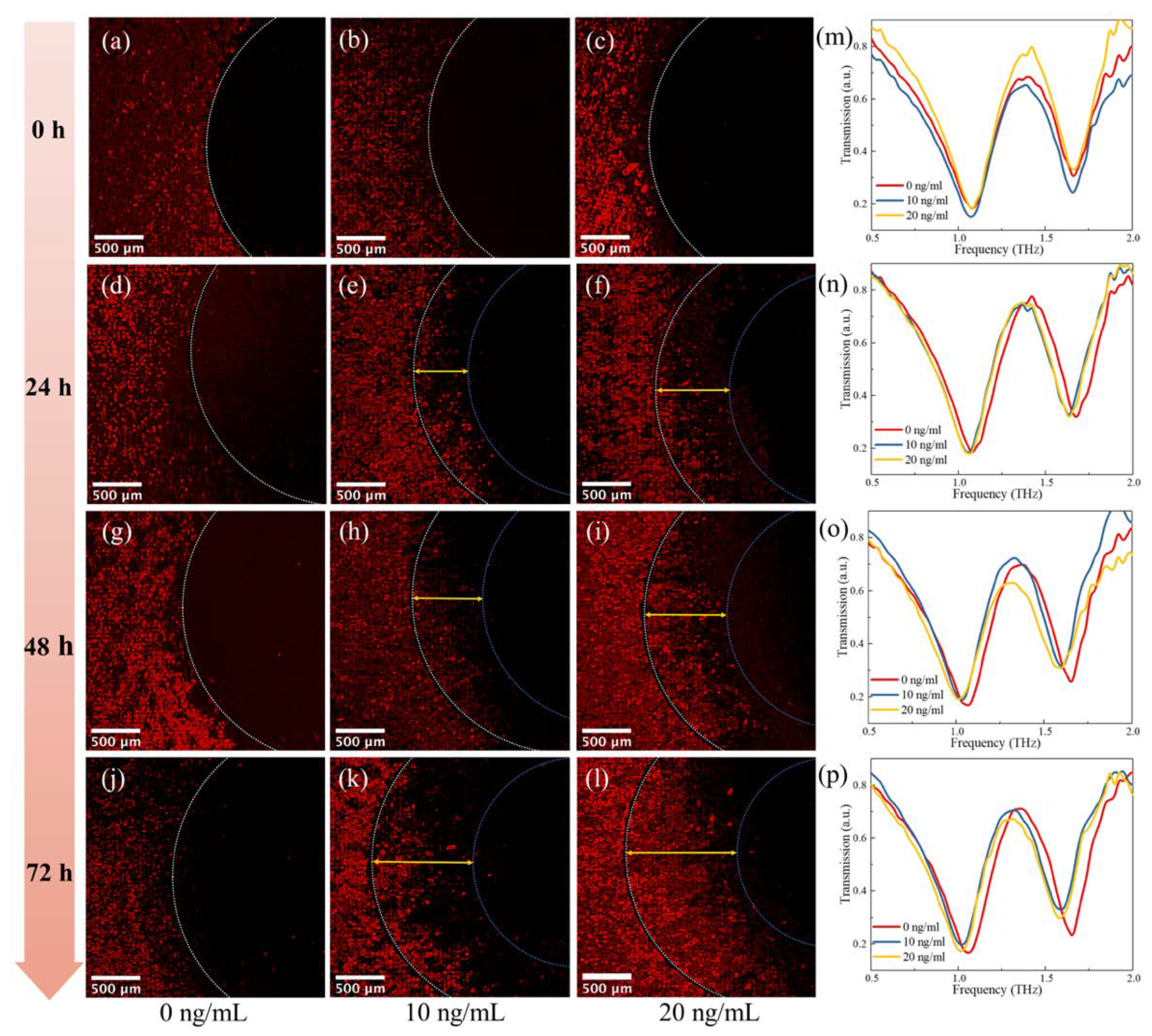 Micromachines 13 00631 g007