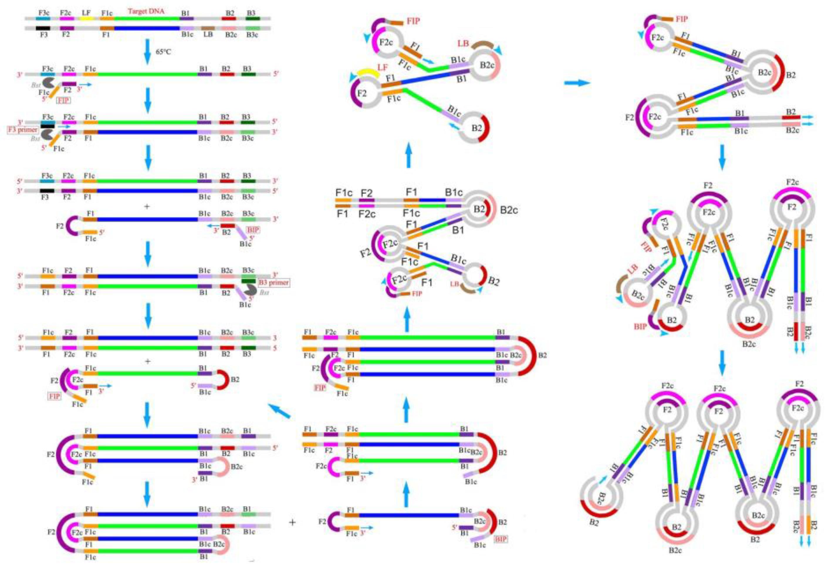 Micromachines 13 00636 g002 550