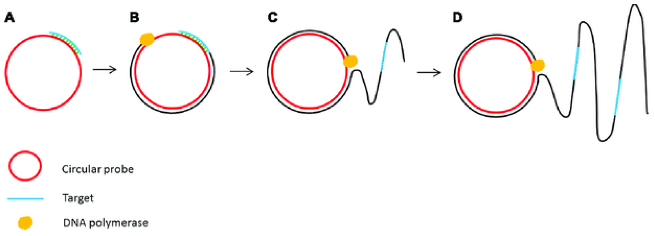 Micromachines 13 00636 g003 550